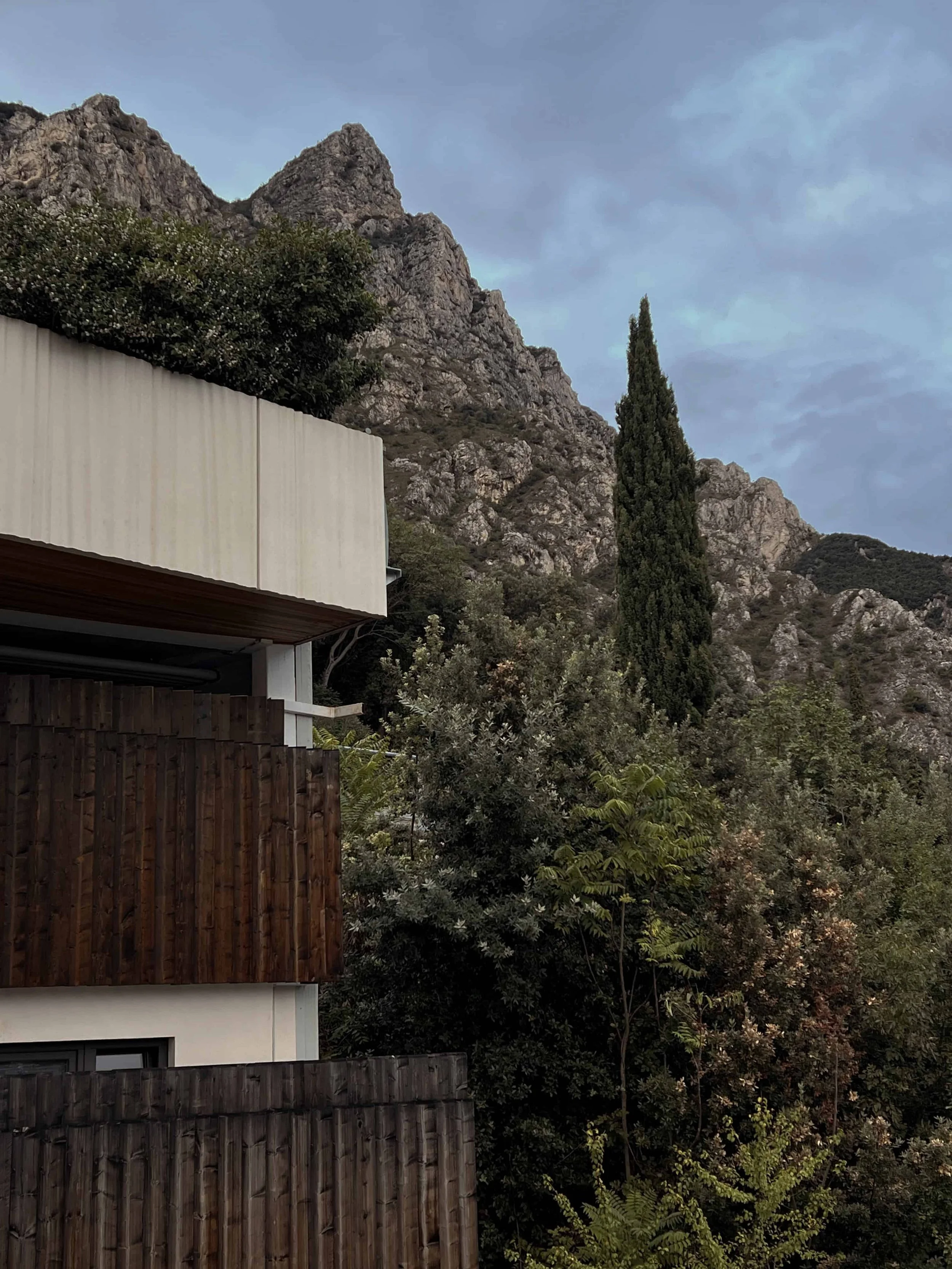 Modern building with wooden and beige external walls surrounded by lush trees and rocky mountain in the background under a cloudy sky.