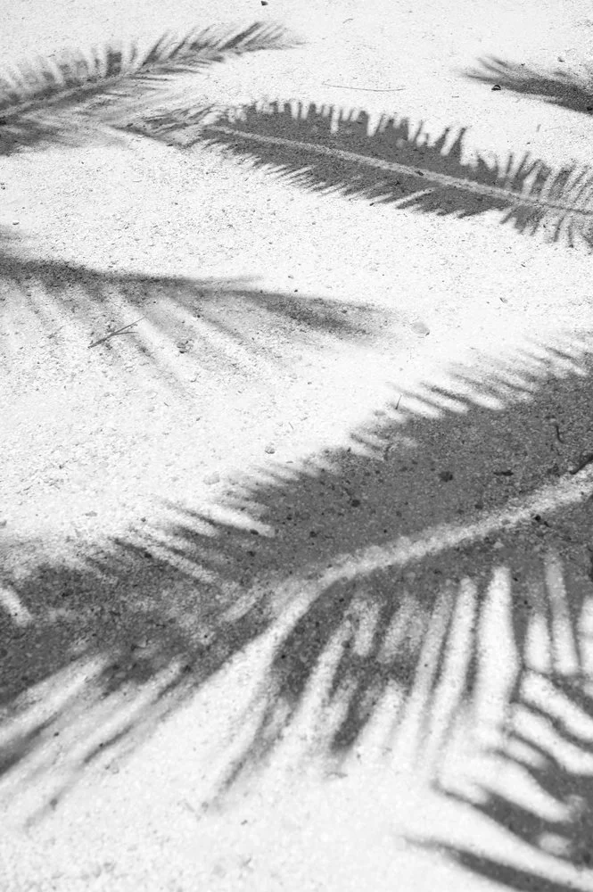 New Smyrna Beach Photographers