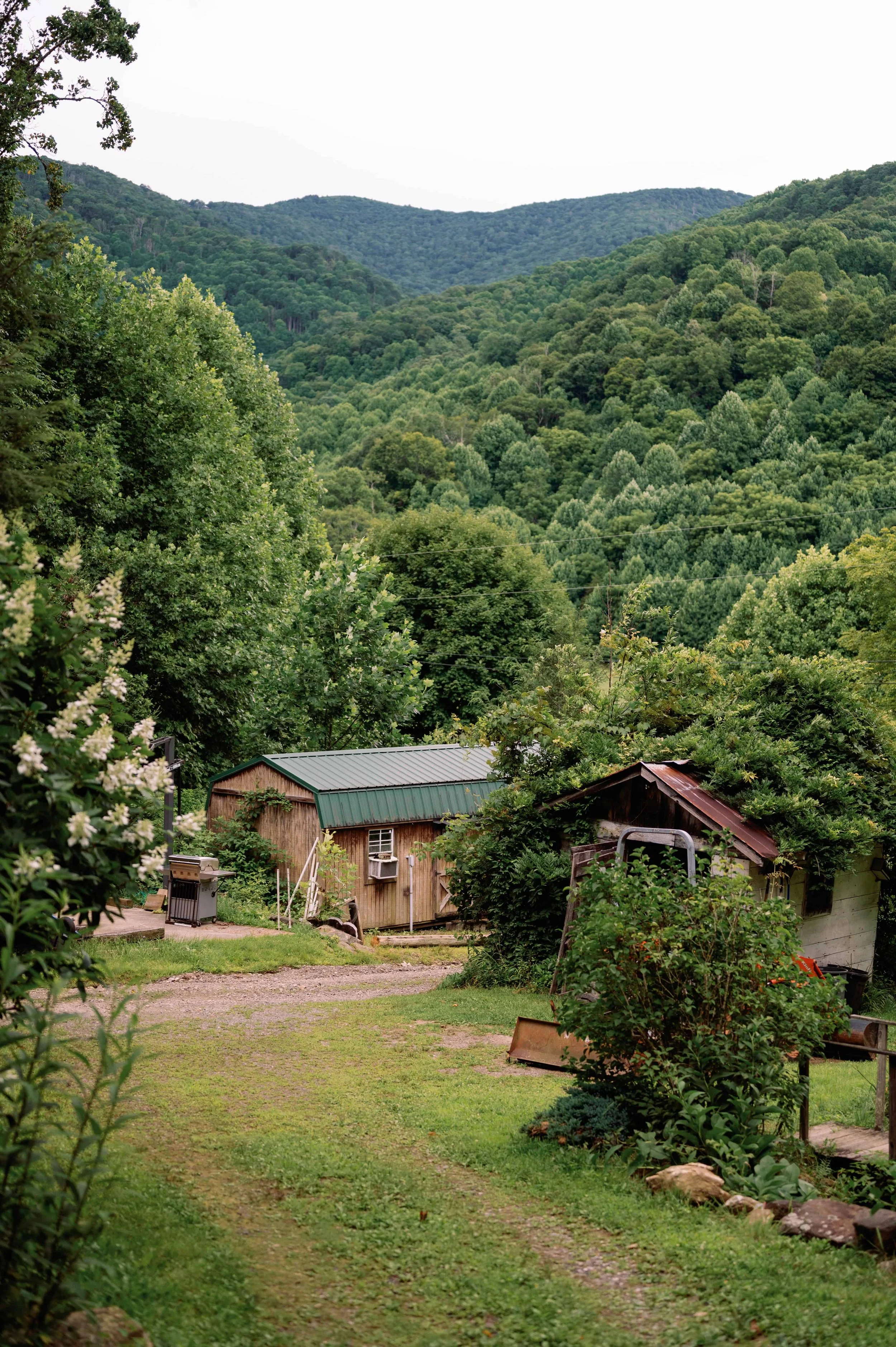 Asheville photographer