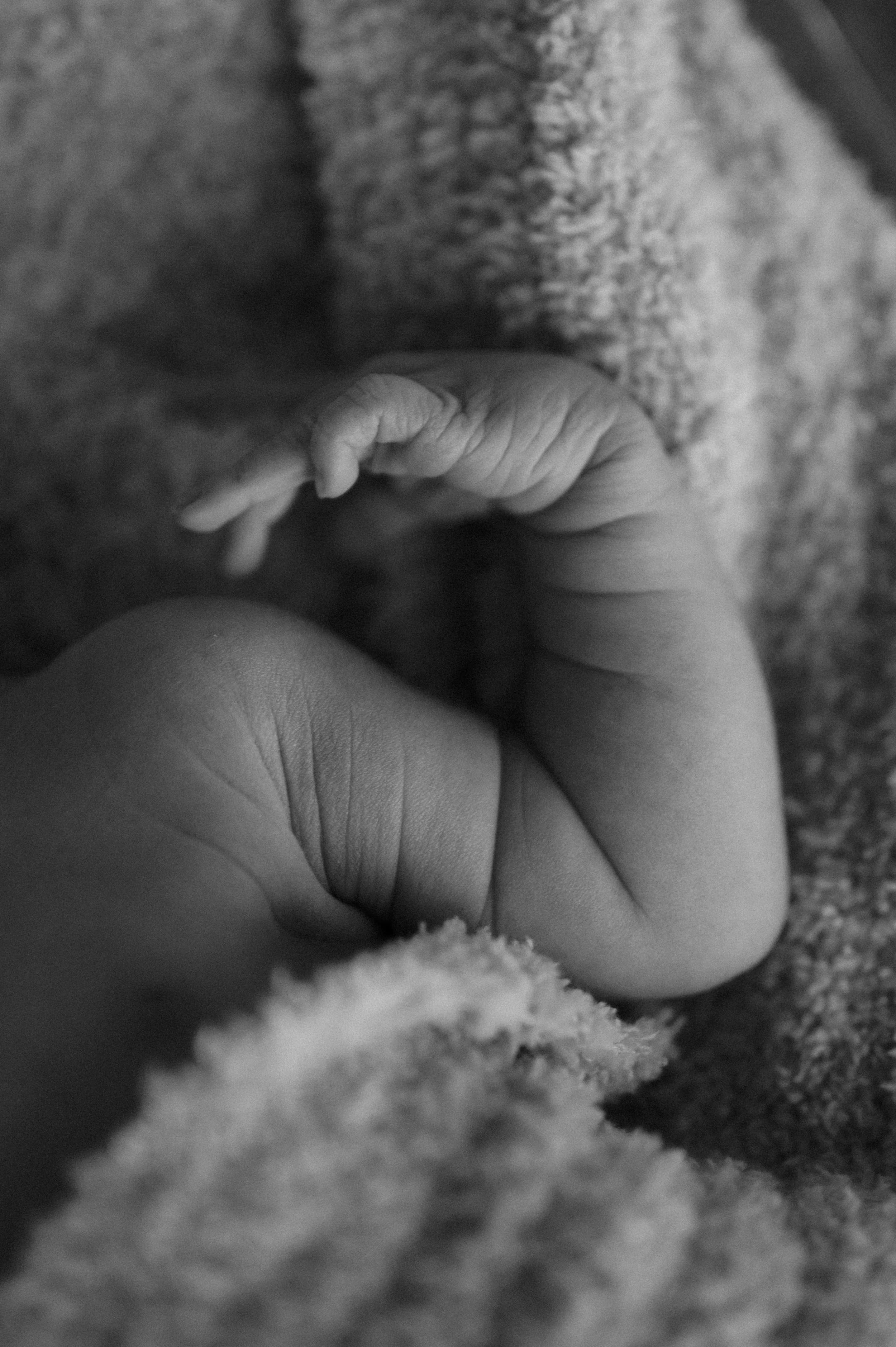 fresh 48 photographer in orlando