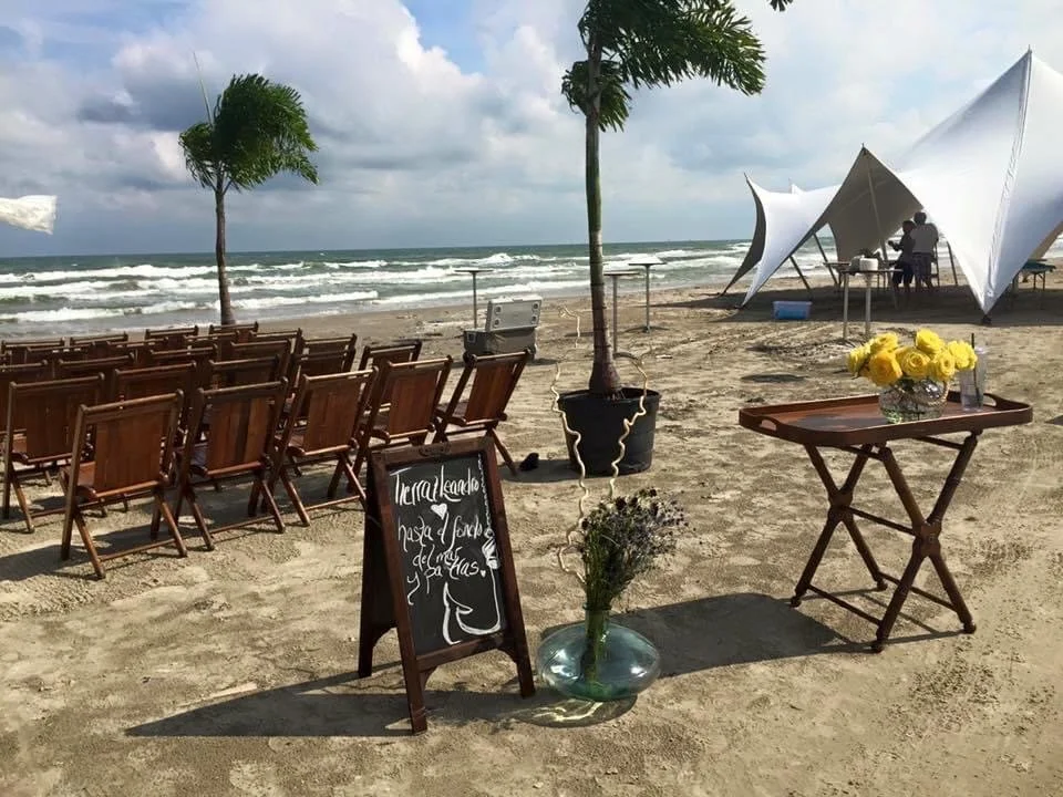 Wood chairs, live foxtail palm trees and the Pagoda tent in Port Aransas.