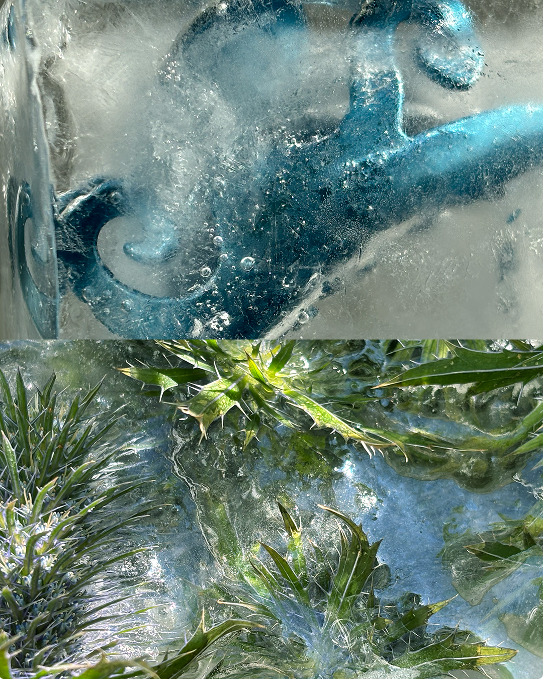 blue.png