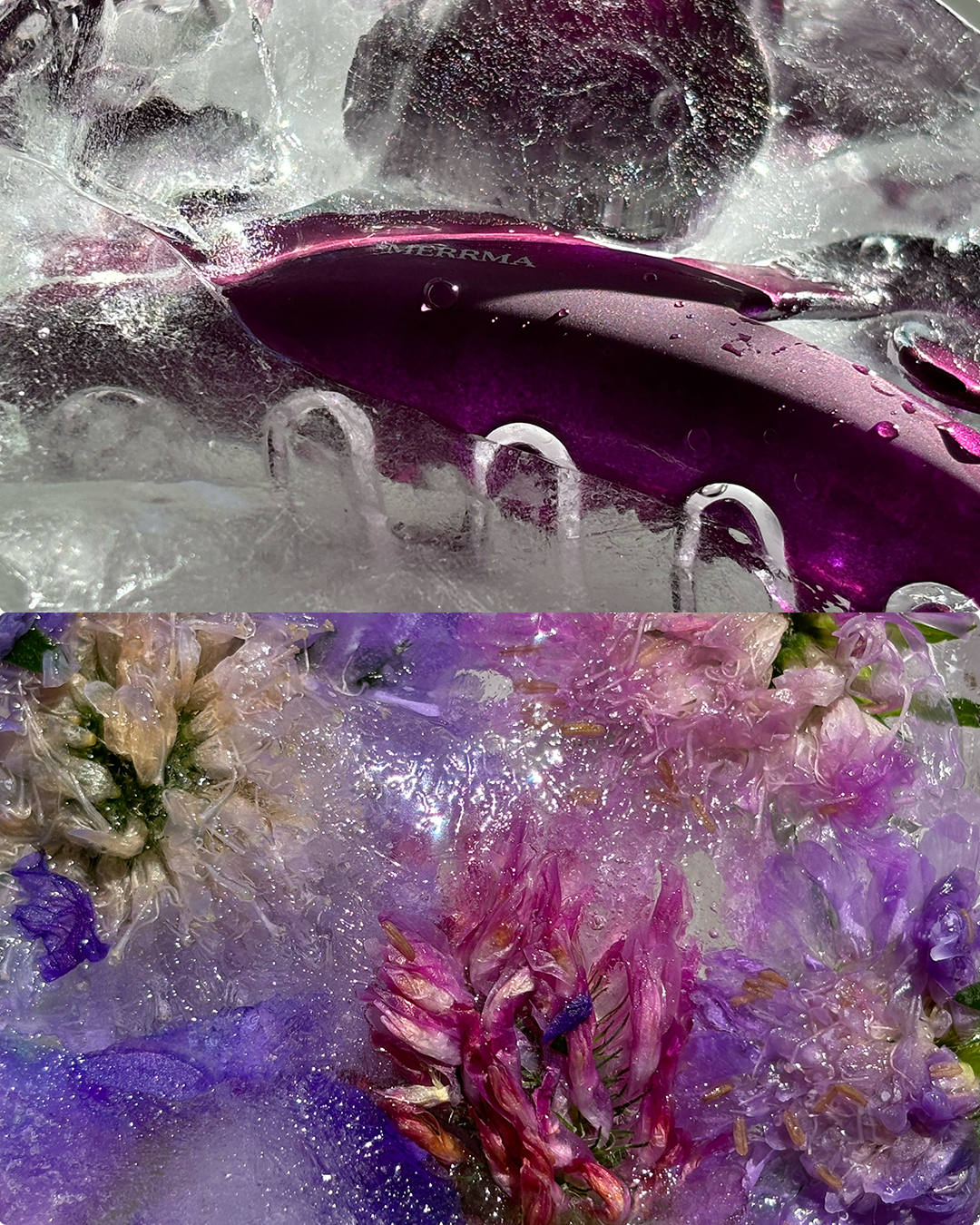 purple.png