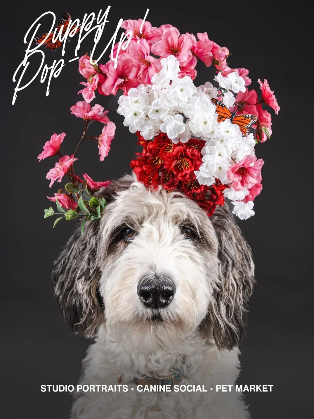DOG DAYS OF SUMMER 🐾

Join us at Distrikt F as we celebrate our favorite F &mdash; Furbabies &mdash; with the ultimate puppy pop-up 
Starting Saturday, June 27 (9 AM&ndash;6 PM) featuring:

📷Luxury pup portraits by @krispiercephoto (9 AM -  5 PM) *
