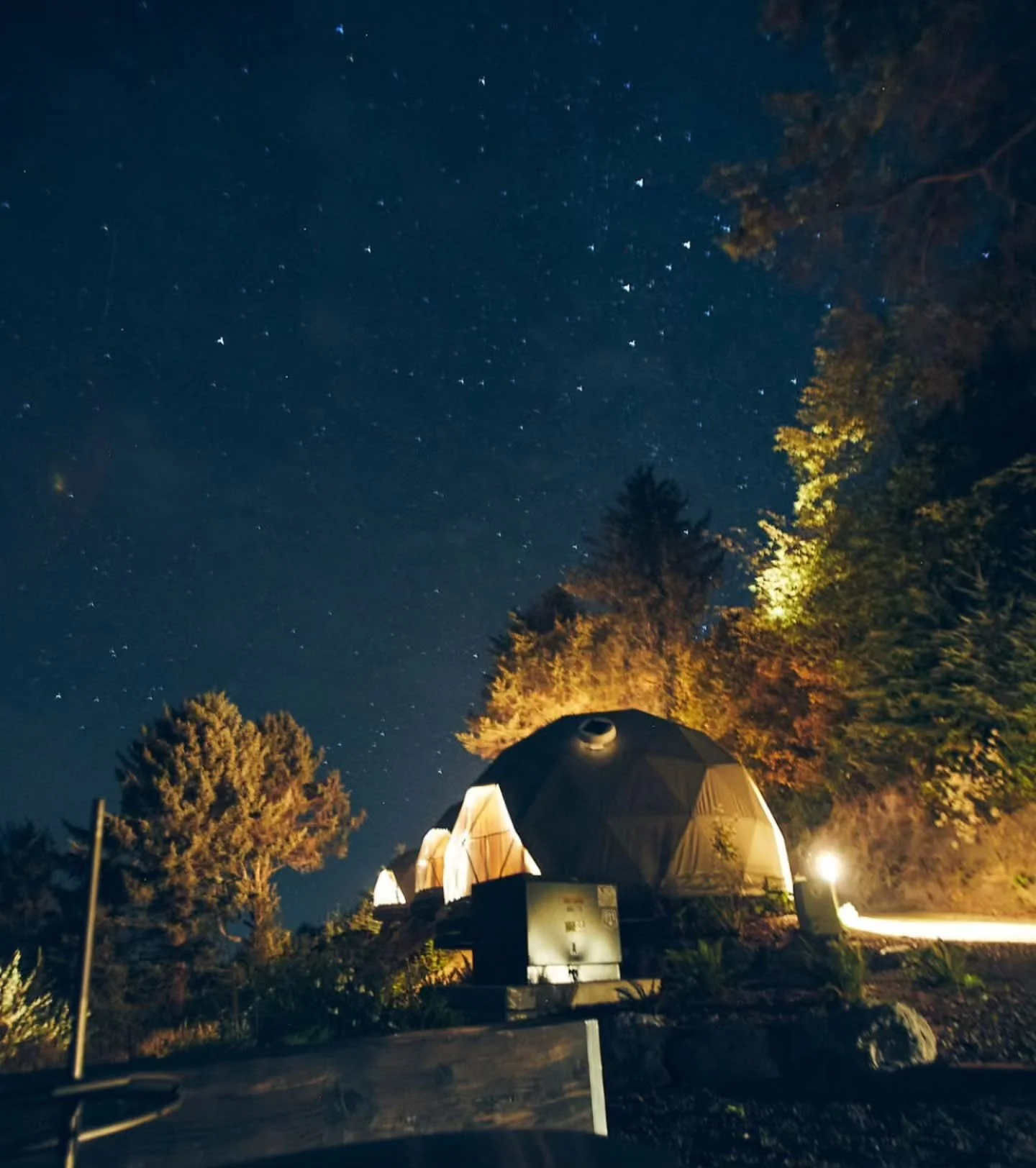 Weekend at a Glance 🍻🎃🐾 Beer tasting, Halloween fun, and dogs stay free — it’s shaping up to be a perfect fall weekend at the coast ✨ 
We still have dome availability and a few cabins open — use code deal10 for 10