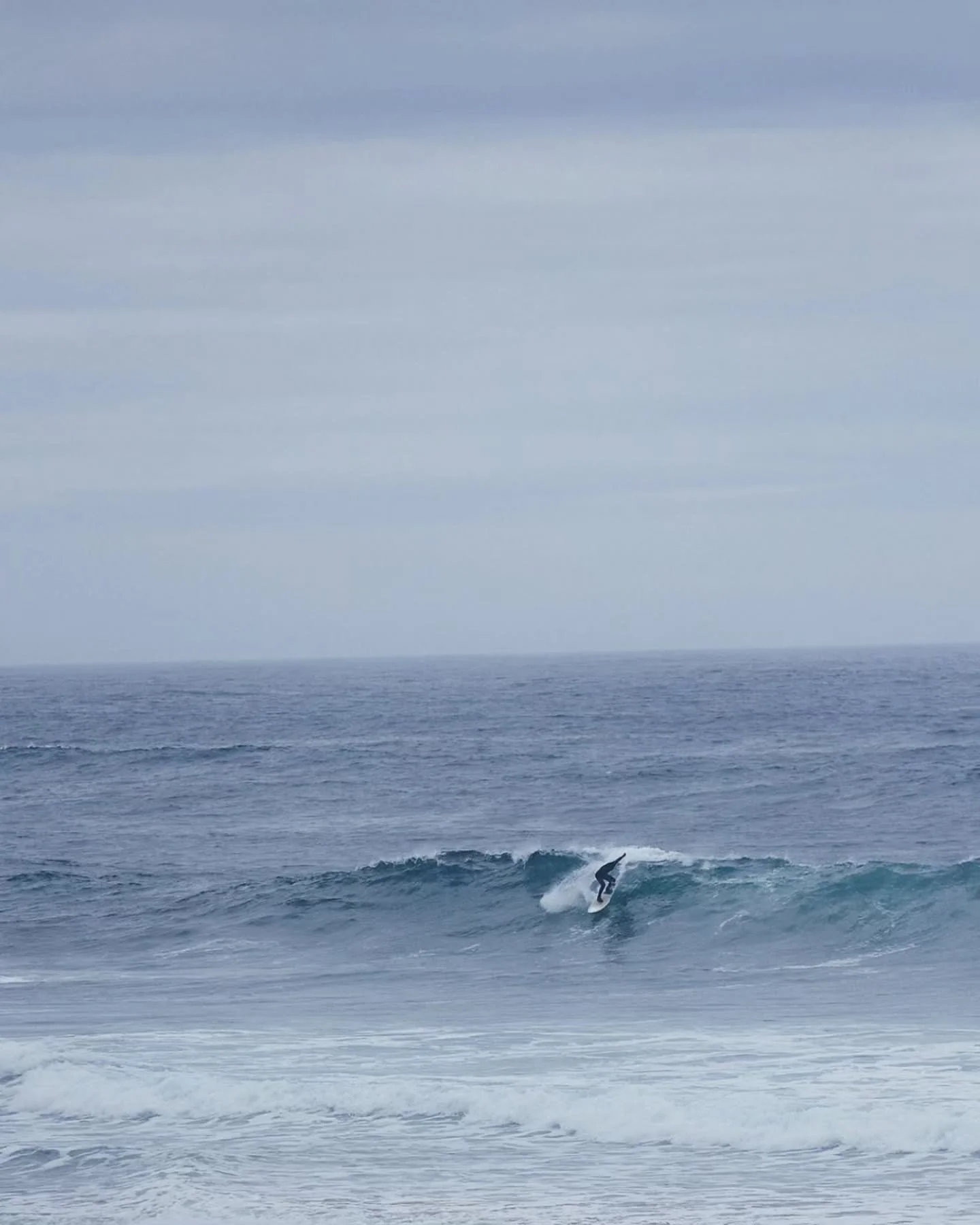 Living Haus pours, the ocean roars 🌊🍻

Join us this Saturday 4&ndash;5:30 PM for a @livinghausbeer tasting with Mat Sandoval&nbsp;and watch the waves roll in. King Tides return this weekend and you can catch nature&rsquo;s drama from one of our coz