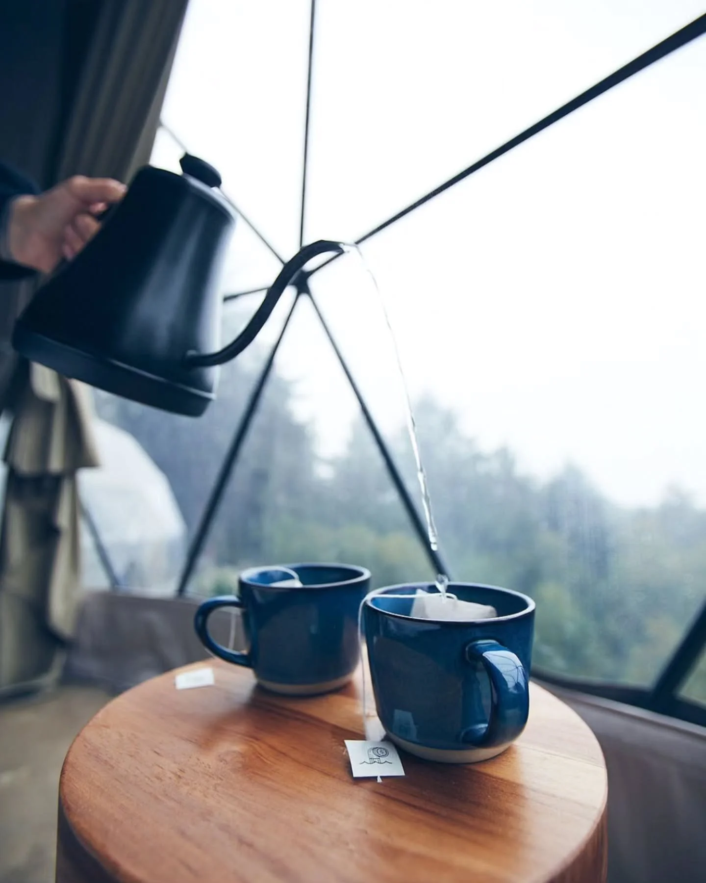 Plenty of room to cozy up by the coast this week ✨ If you&rsquo;re craving a quiet, mid-November reset, we&rsquo;ve got openings in both our cabins and domes.

Planning ahead for the weekend?
We still have&nbsp;1 cabin and 6 domes&nbsp;left for a Fri