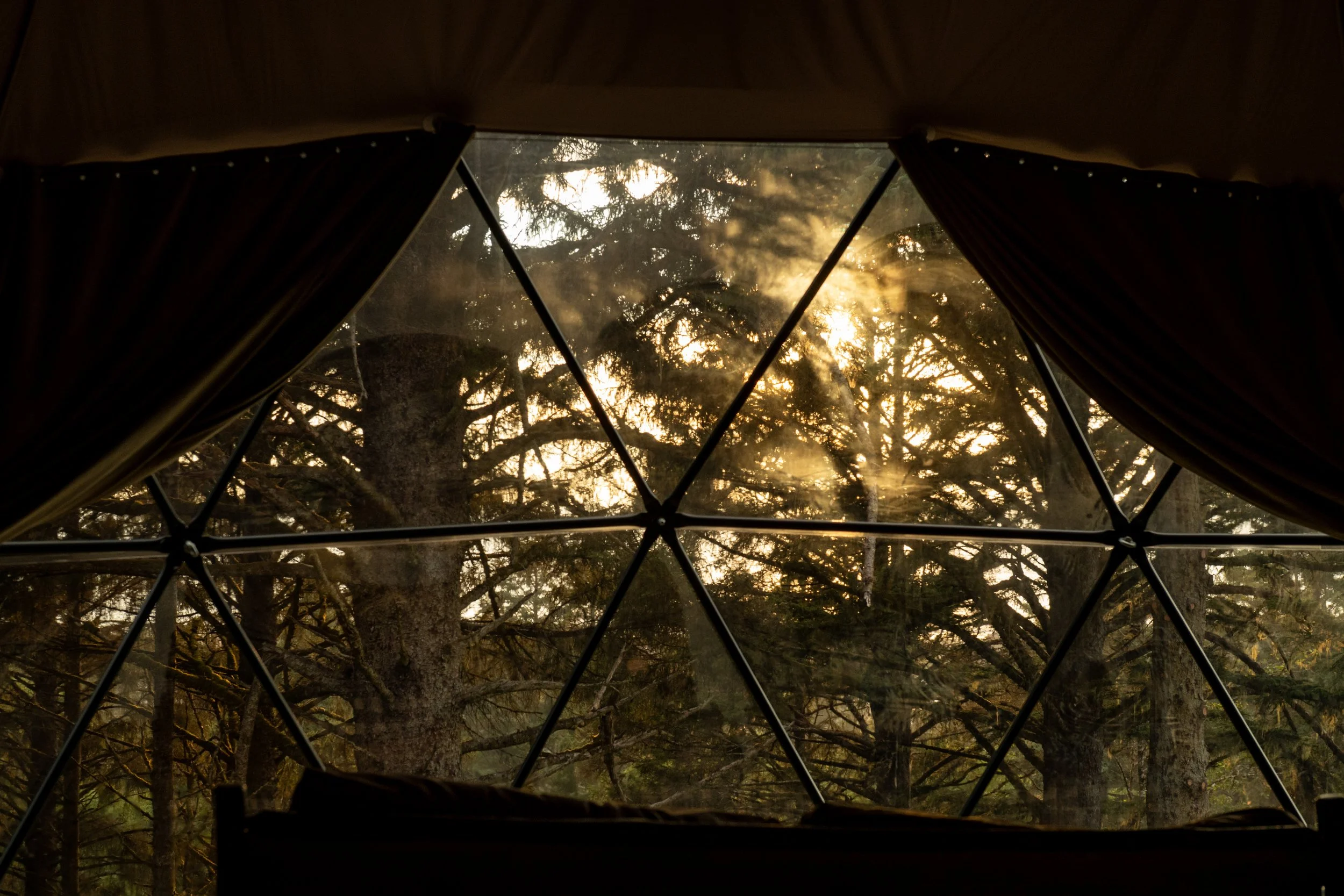 A Guide to Slowing Down on the Oregon Coast