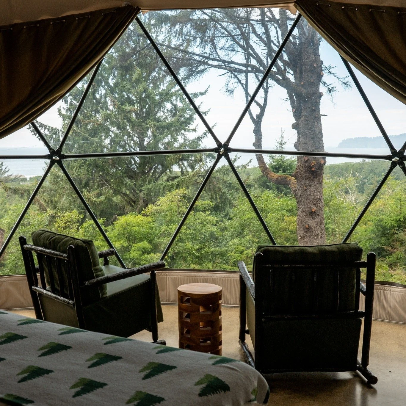 A window into the trees, the ocean just beyond. This is what slowing down looks like.

#TwoCapesLookout #OregonCoast #PNWTravel #GlampingOregon #PacificCity