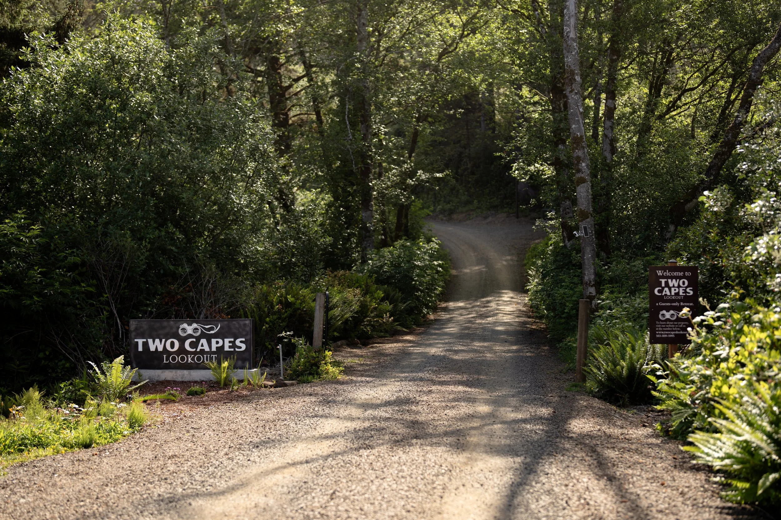 The Perfect Road Trip from Portland to the Oregon Coast