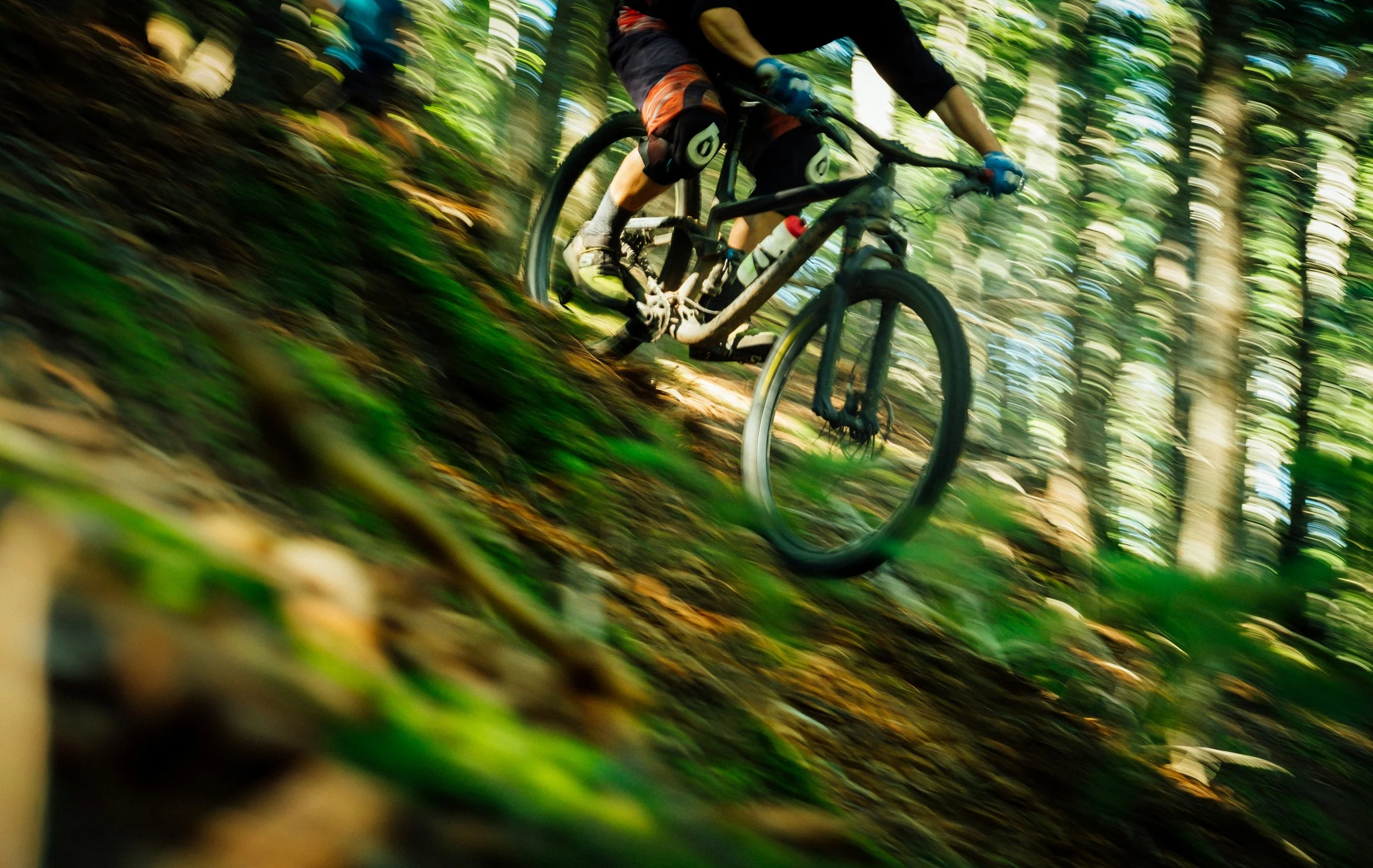 A Guide to Mountain Biking Near Pacific City, Oregon