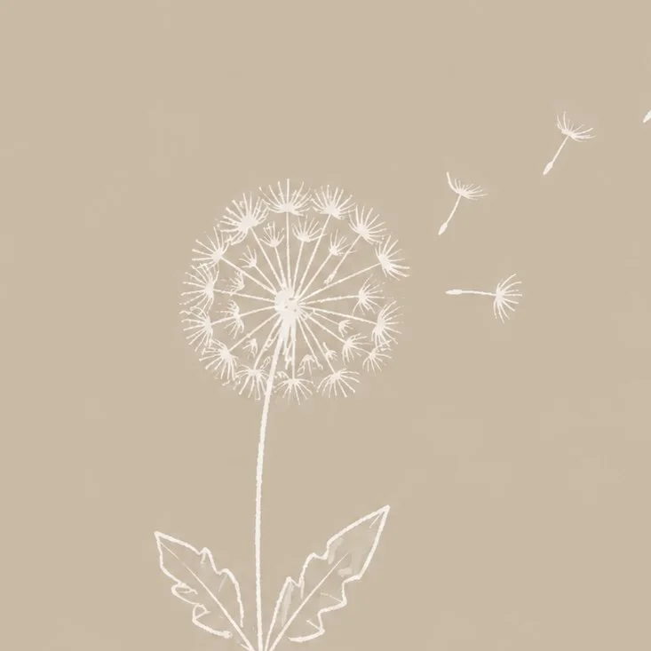 Line drawing of a dandelion with some seeds blowing away on a beige background.