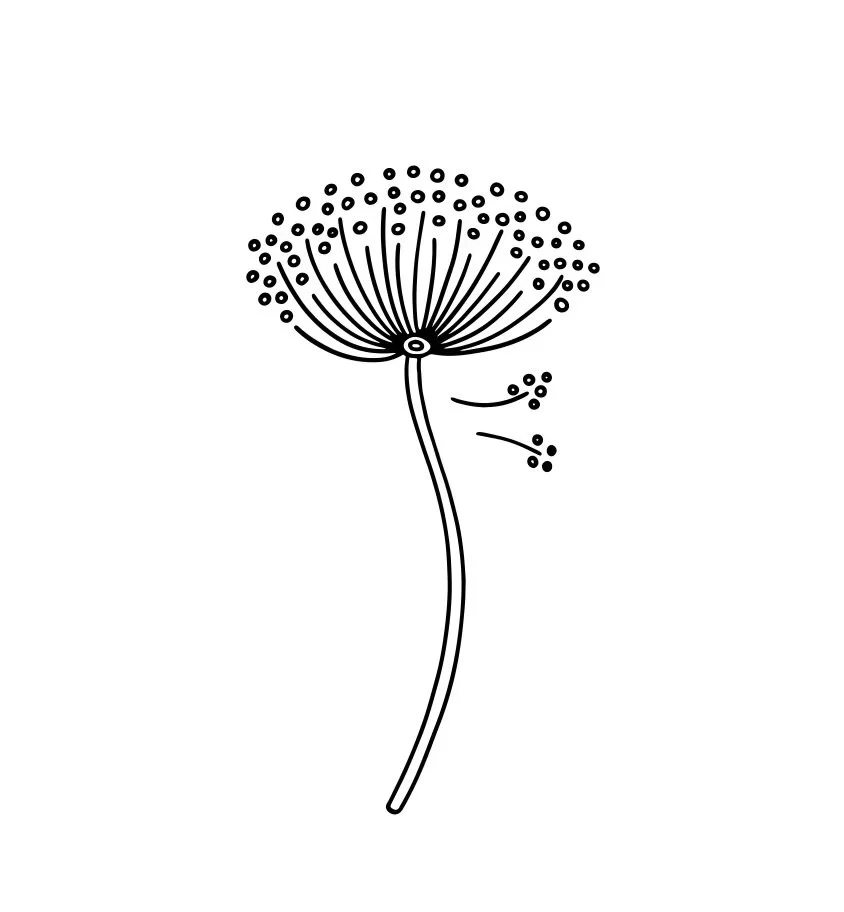 Black and white line drawing of a dandelion flower with some seeds blowing away.