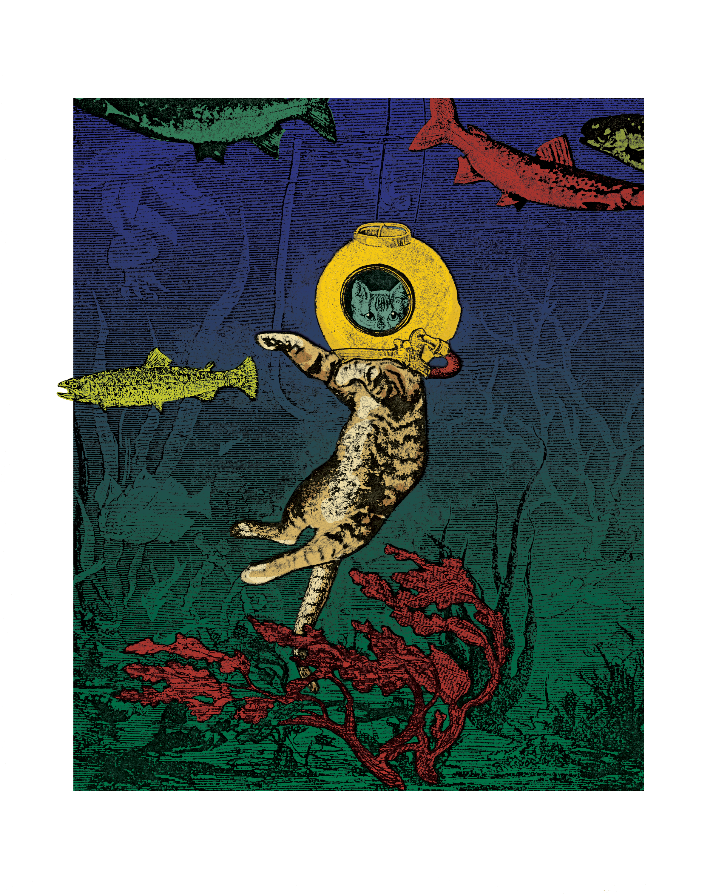 Fine Art Print: An Otherwise Unremarkable House Cat