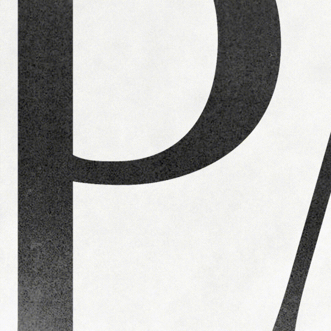 Video-lanzamiento-rebranding_1-2.gif