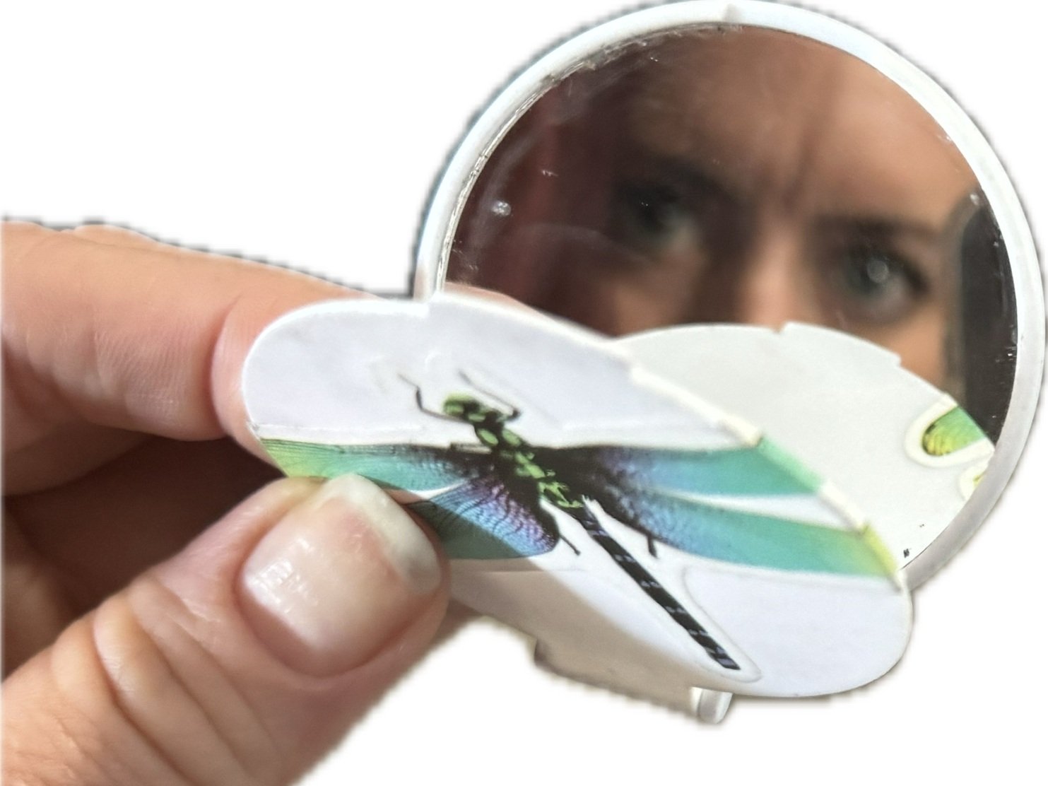Mirror, Mirror