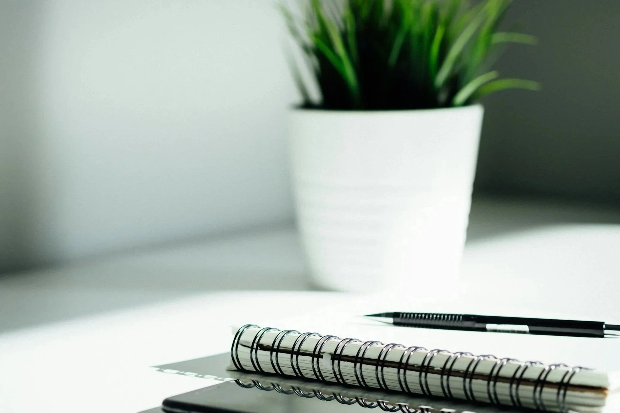 Image of Notebook, pen, and plant