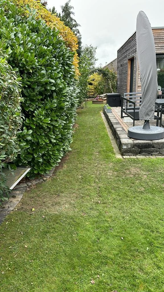 WhatsApp Image 2024-02-17 at 13.38.37.jpeg