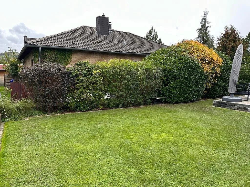 WhatsApp Image 2024-02-17 at 13.32.08.jpeg