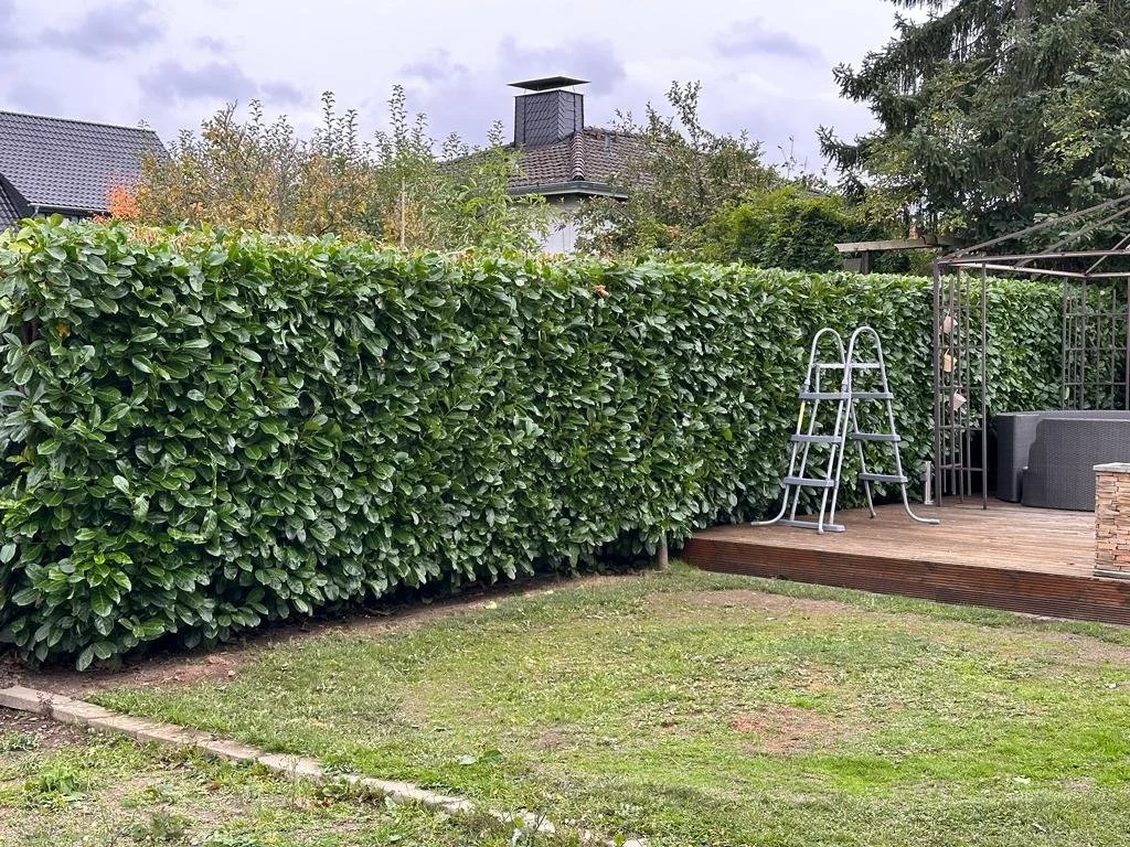 WhatsApp Image 2024-02-17 at 13.38.37 (1).jpeg