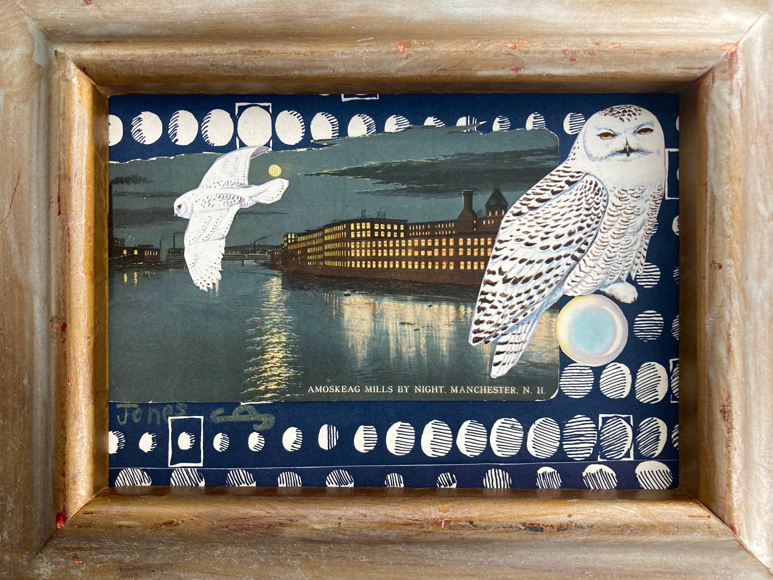 SnowyOwl.jpg