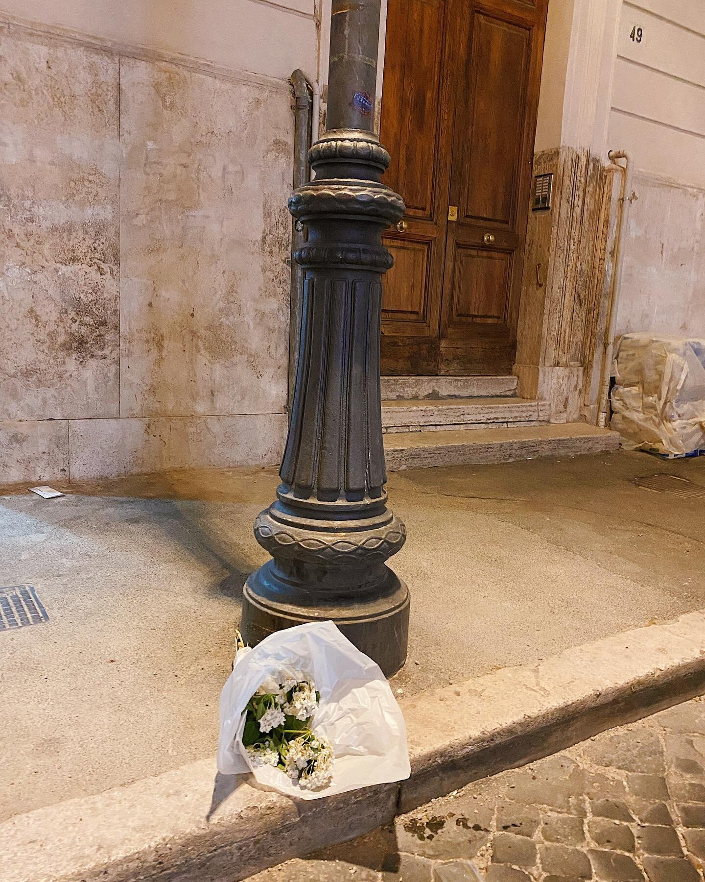 che tristezza. (not my flowers)