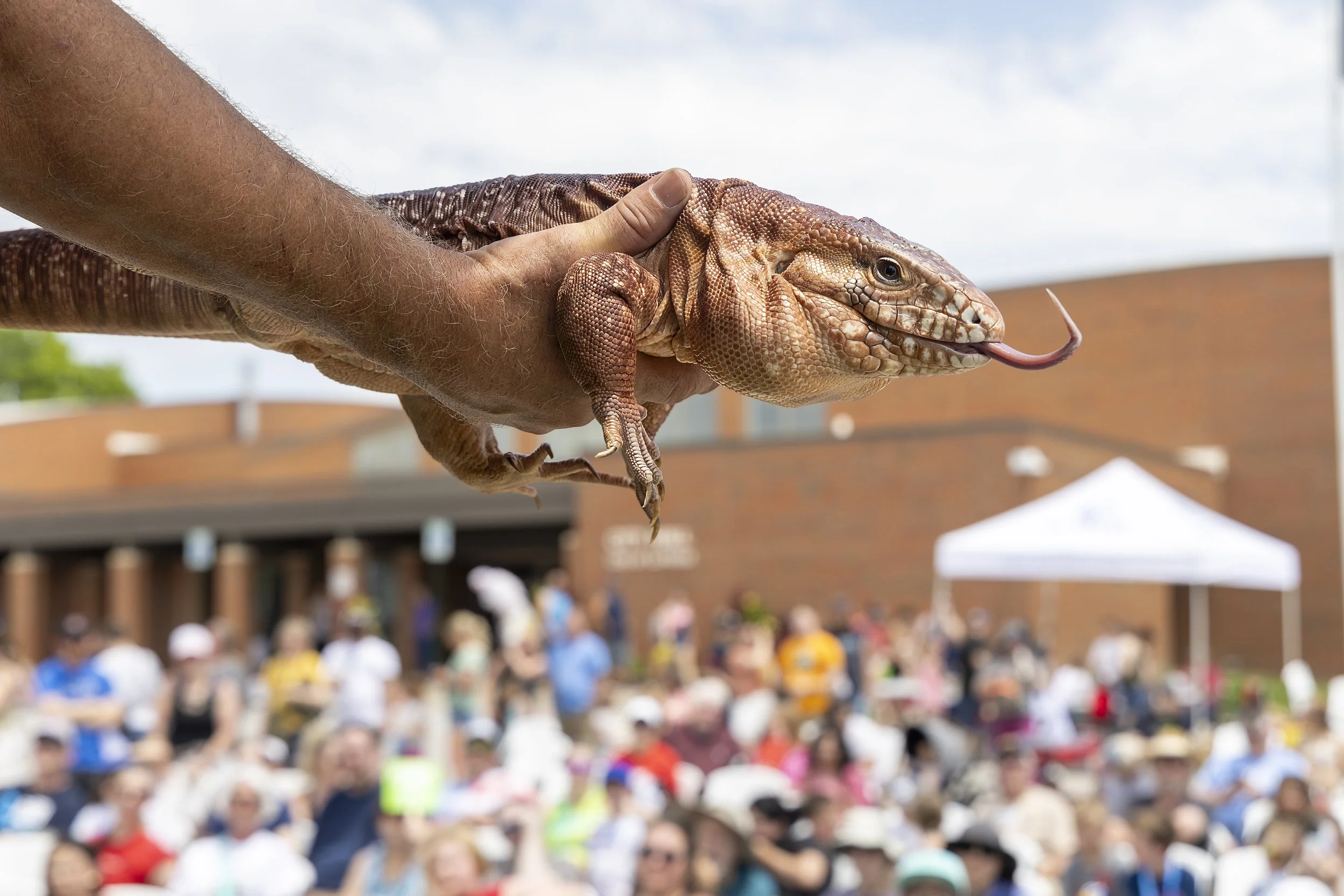 LV Days Sat Pic-146c.jpg