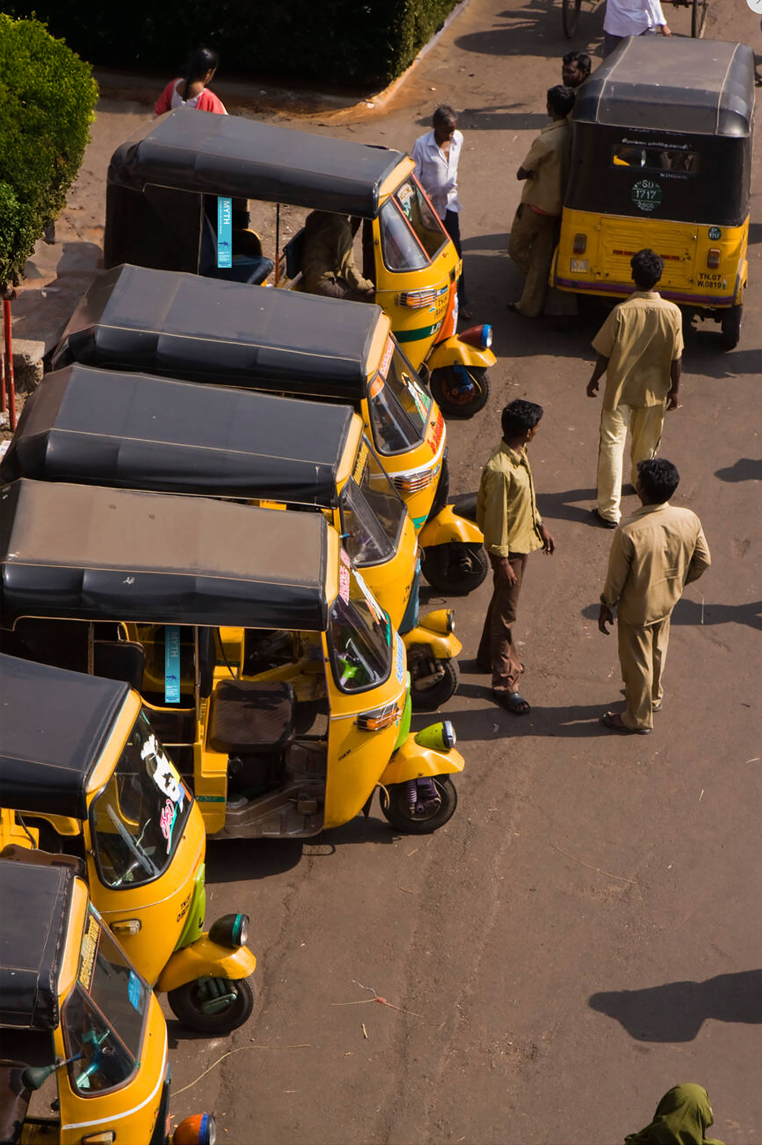 Dengue_Rikshaws_MosquitoRibbon.png