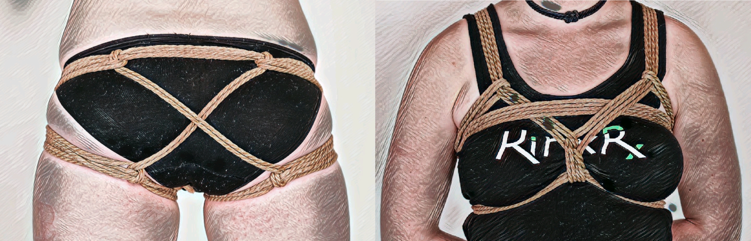 Anon - Essential Shibari Harnesses