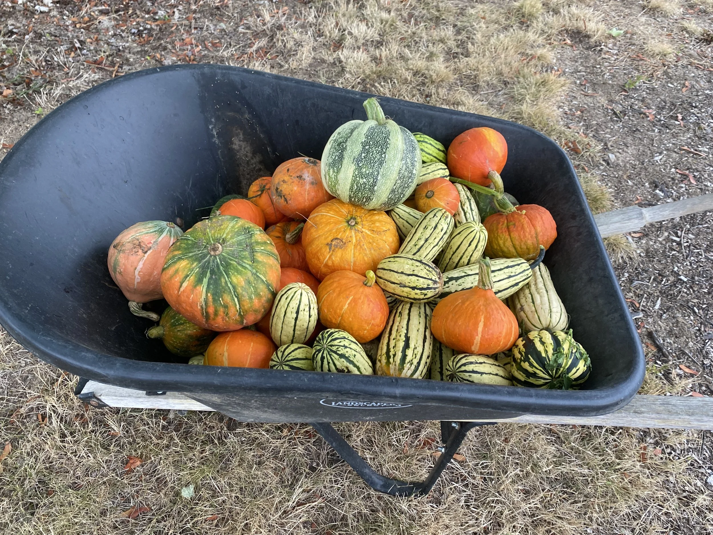 OCD and eating behaviors