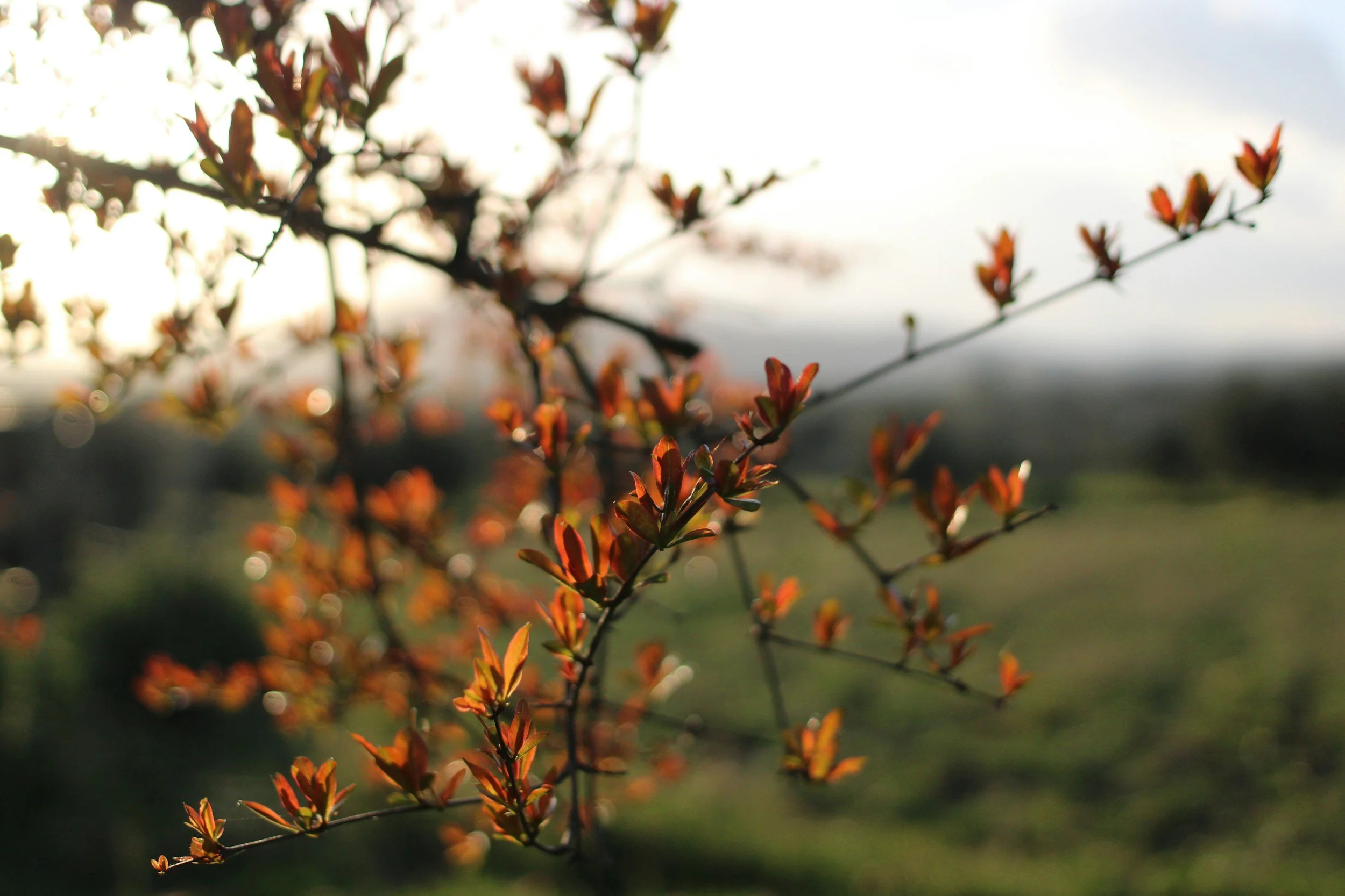 Treating OCD when the threats are real