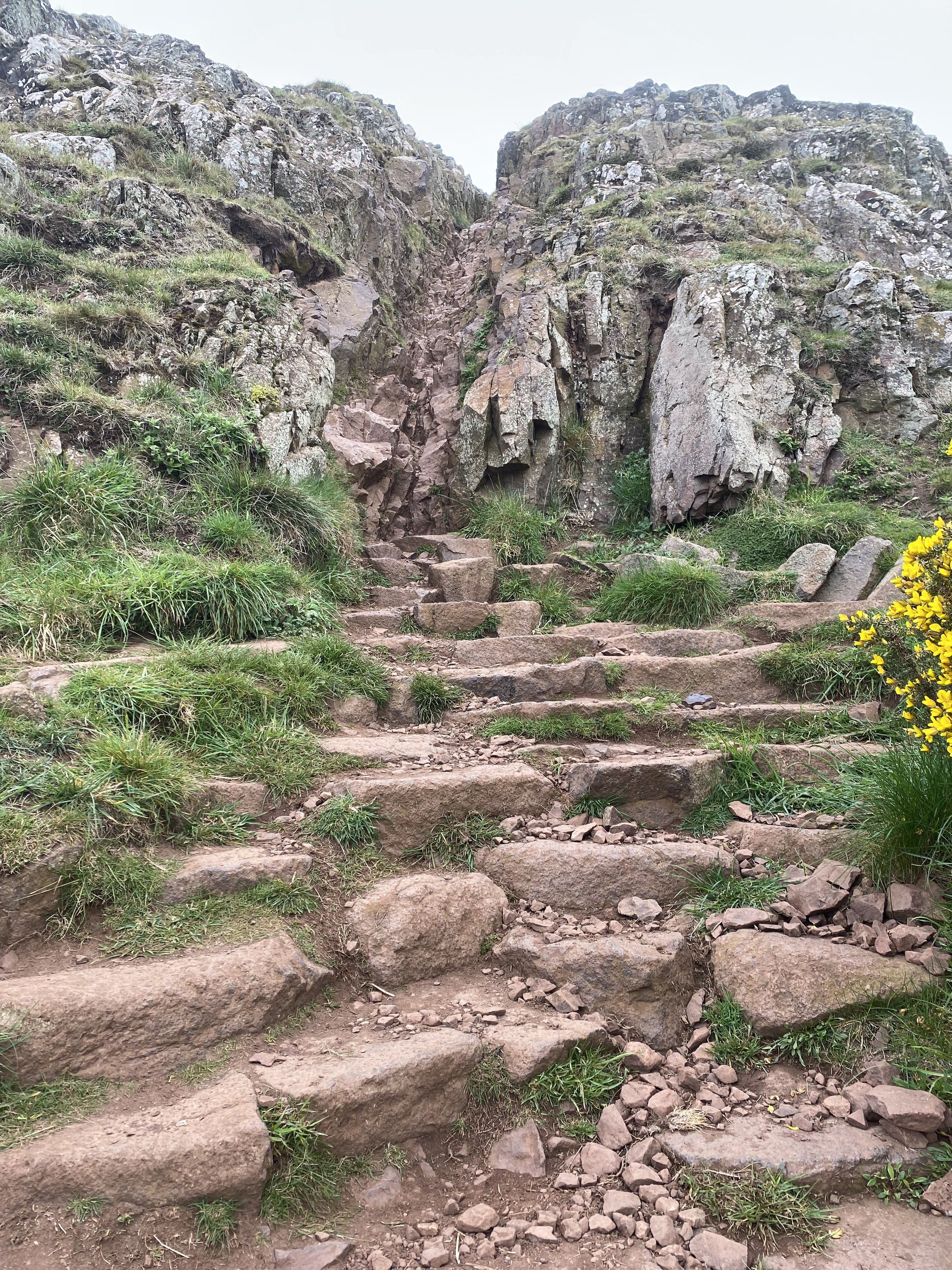 Affirming treatment for neurodivergent folks with OCD