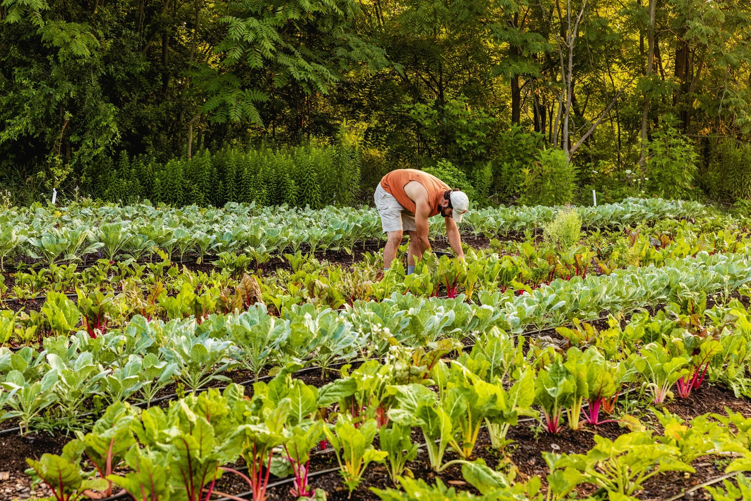 Gardening Workshop: Sowing Seeds