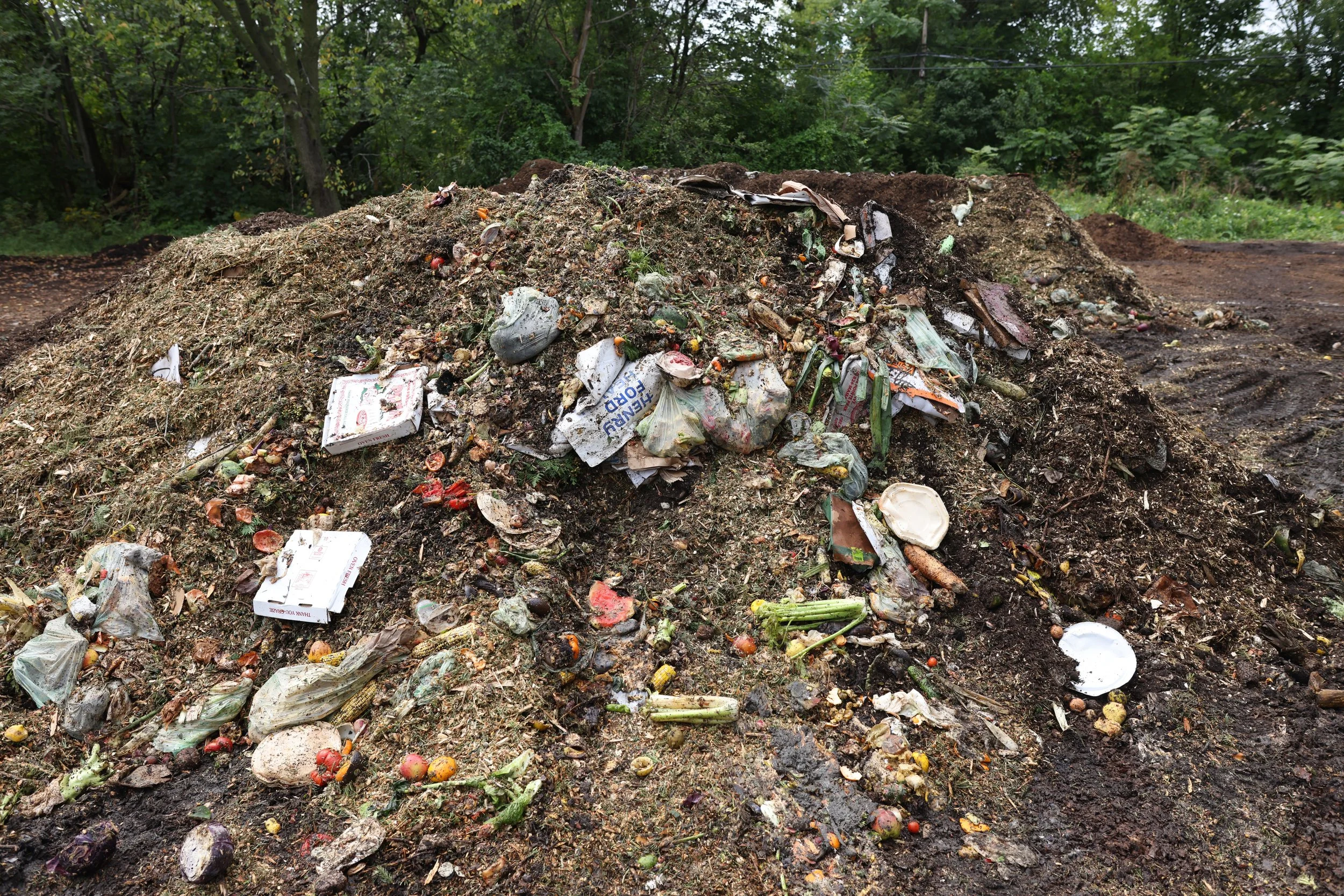 A pile of unfinished compost