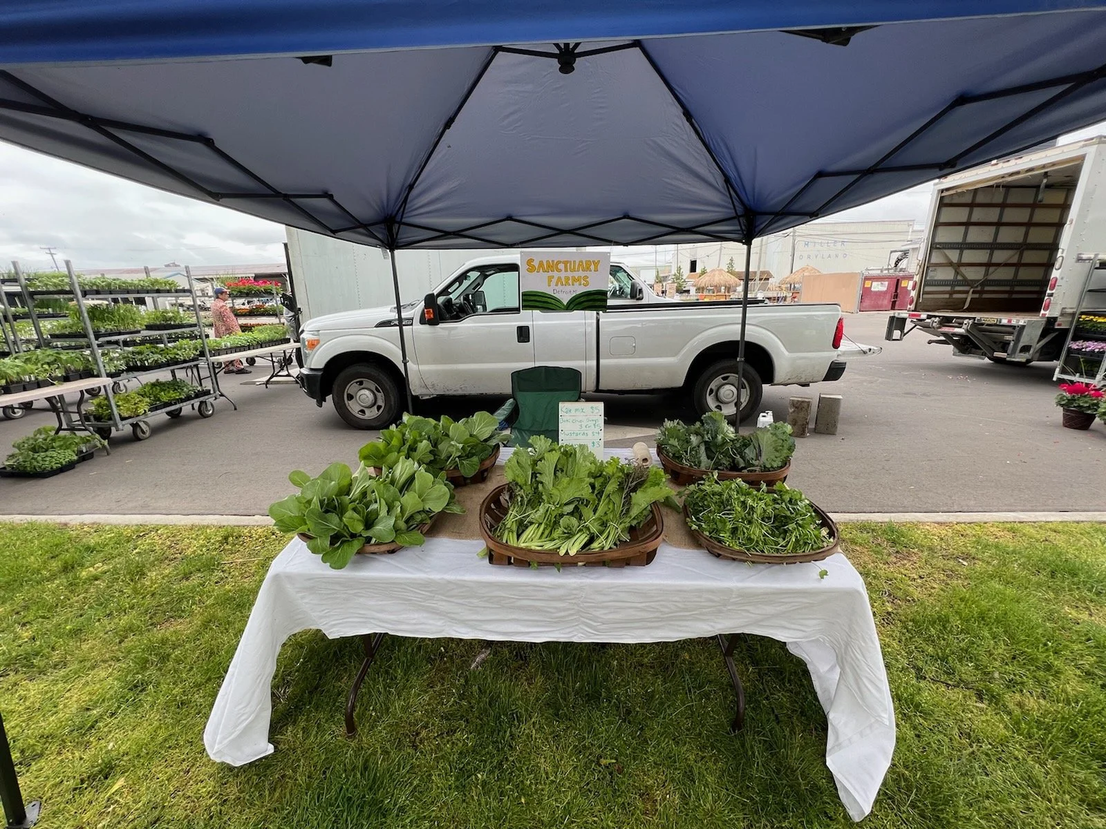 Fresh produce under a blue tent