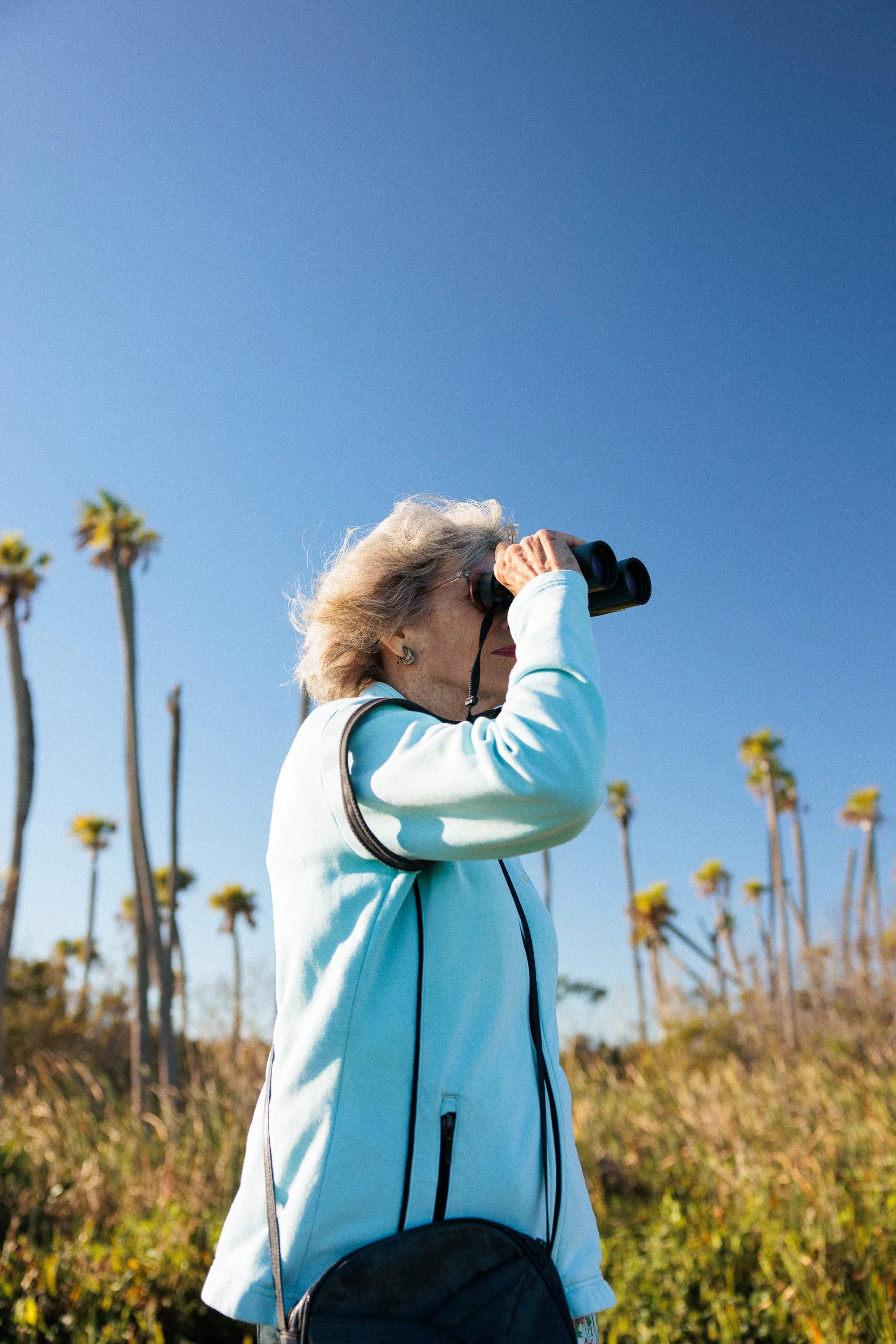 Volusia_County_Audubon_250046.jpg