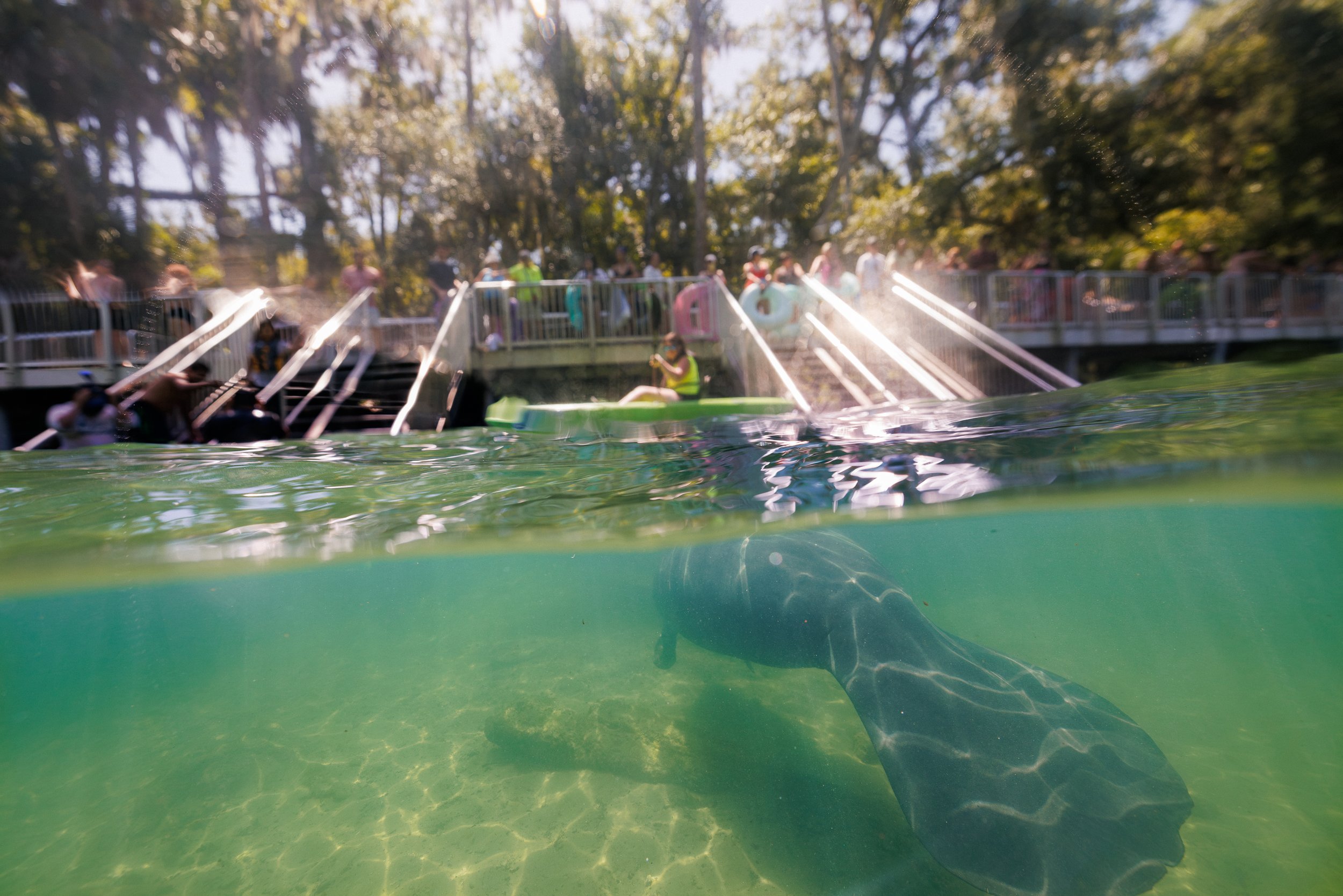 Blue_Springs_July_20260327.jpg