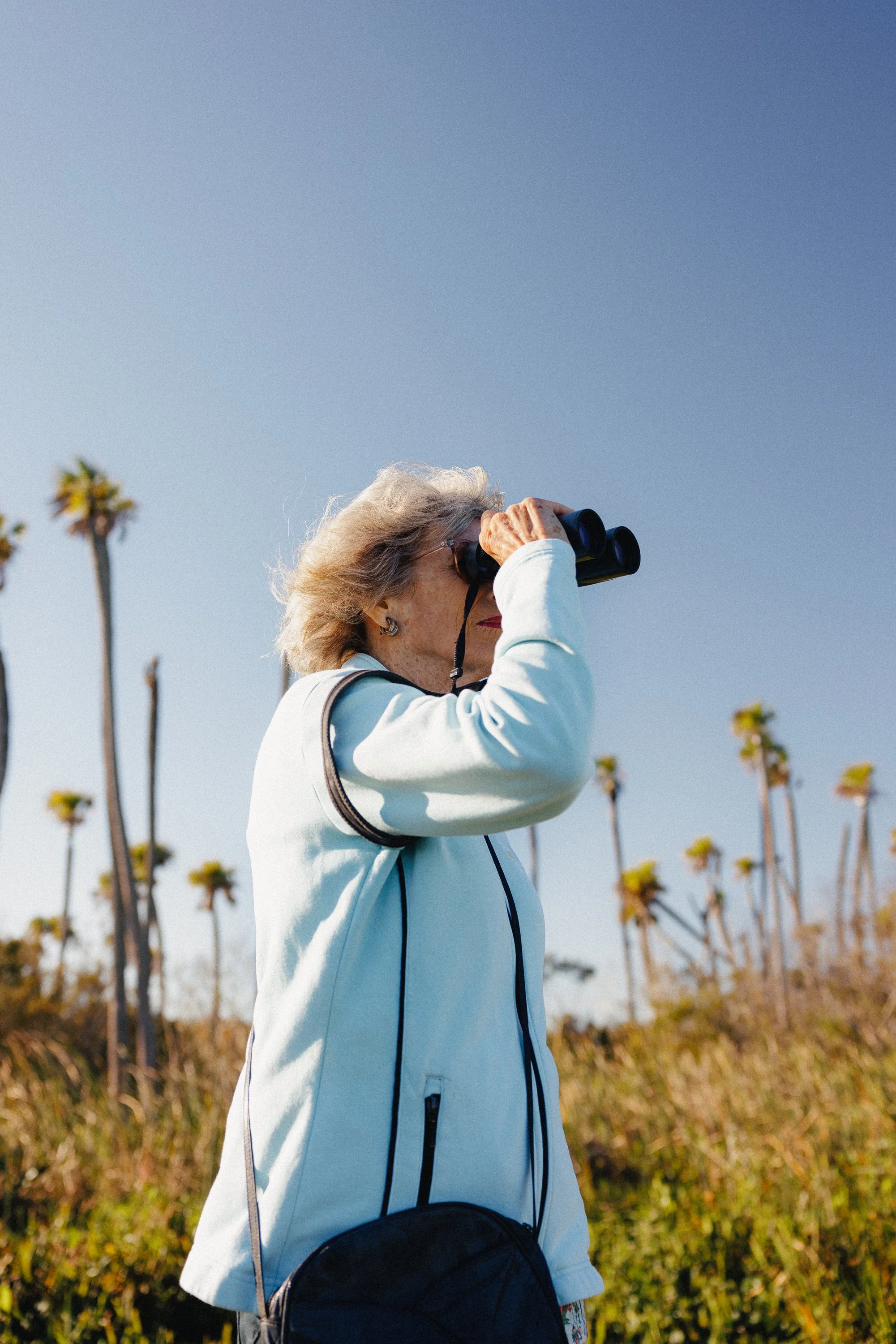 Birders0004.jpg