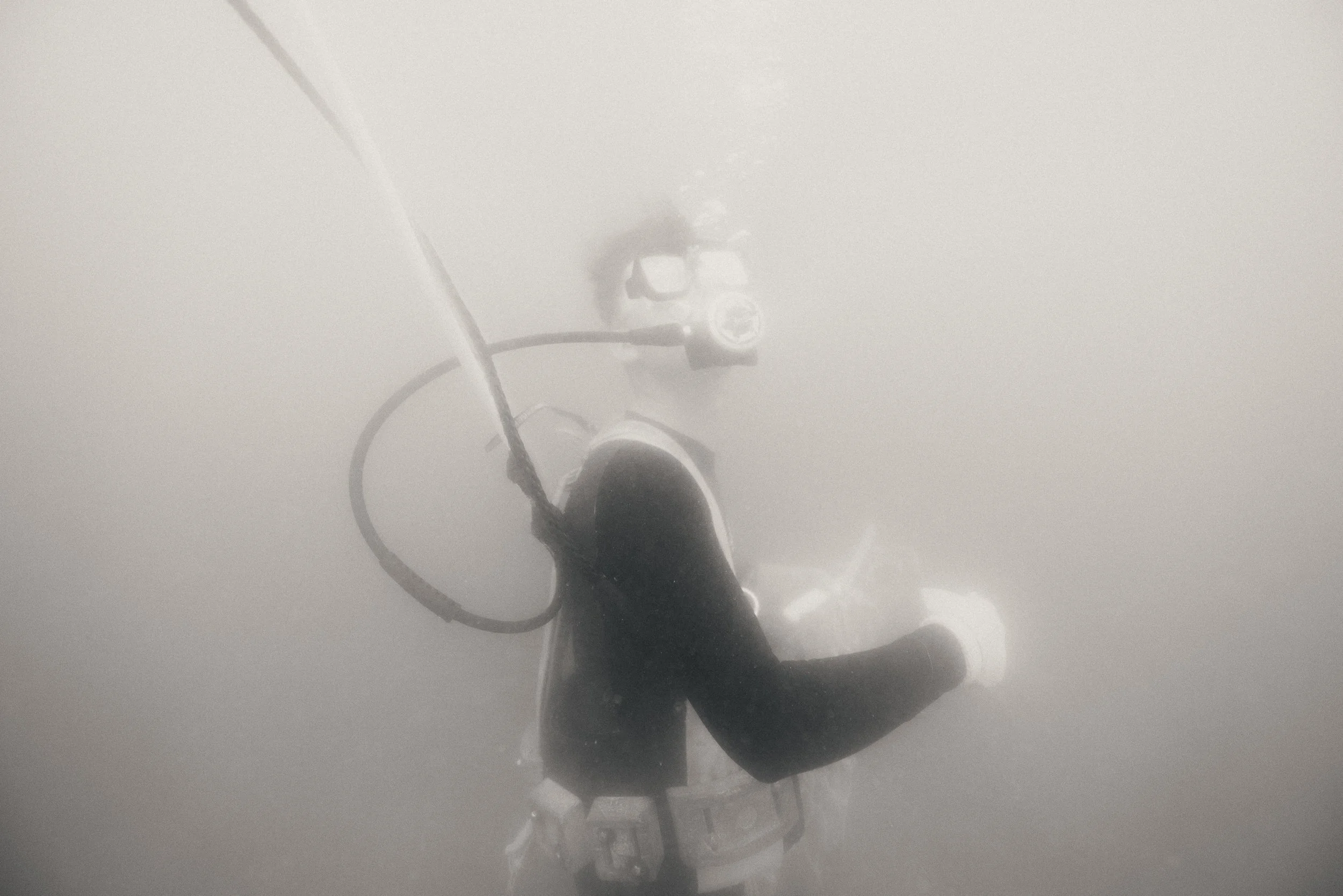 _65A2811.jpg