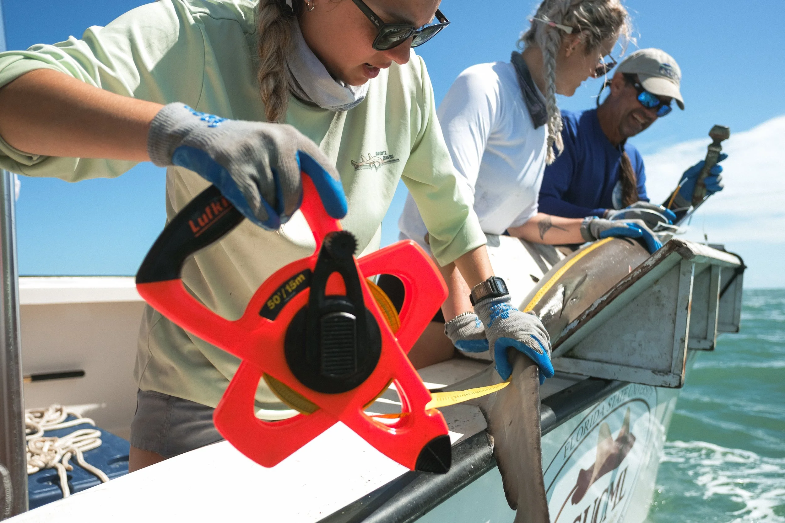 Shark_Research_Day_20132.jpg