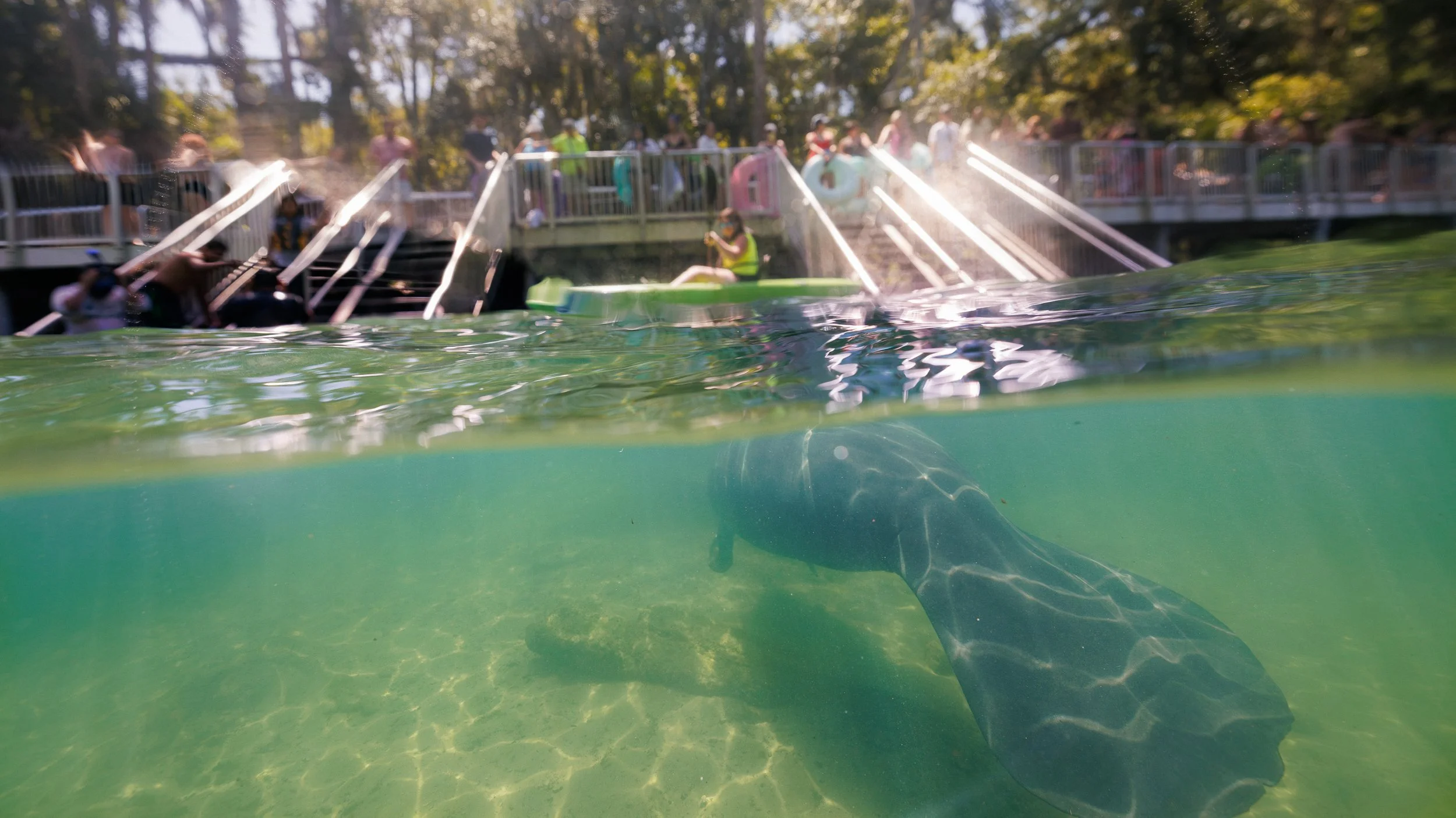 Blue_Springs_July_20260327.jpg