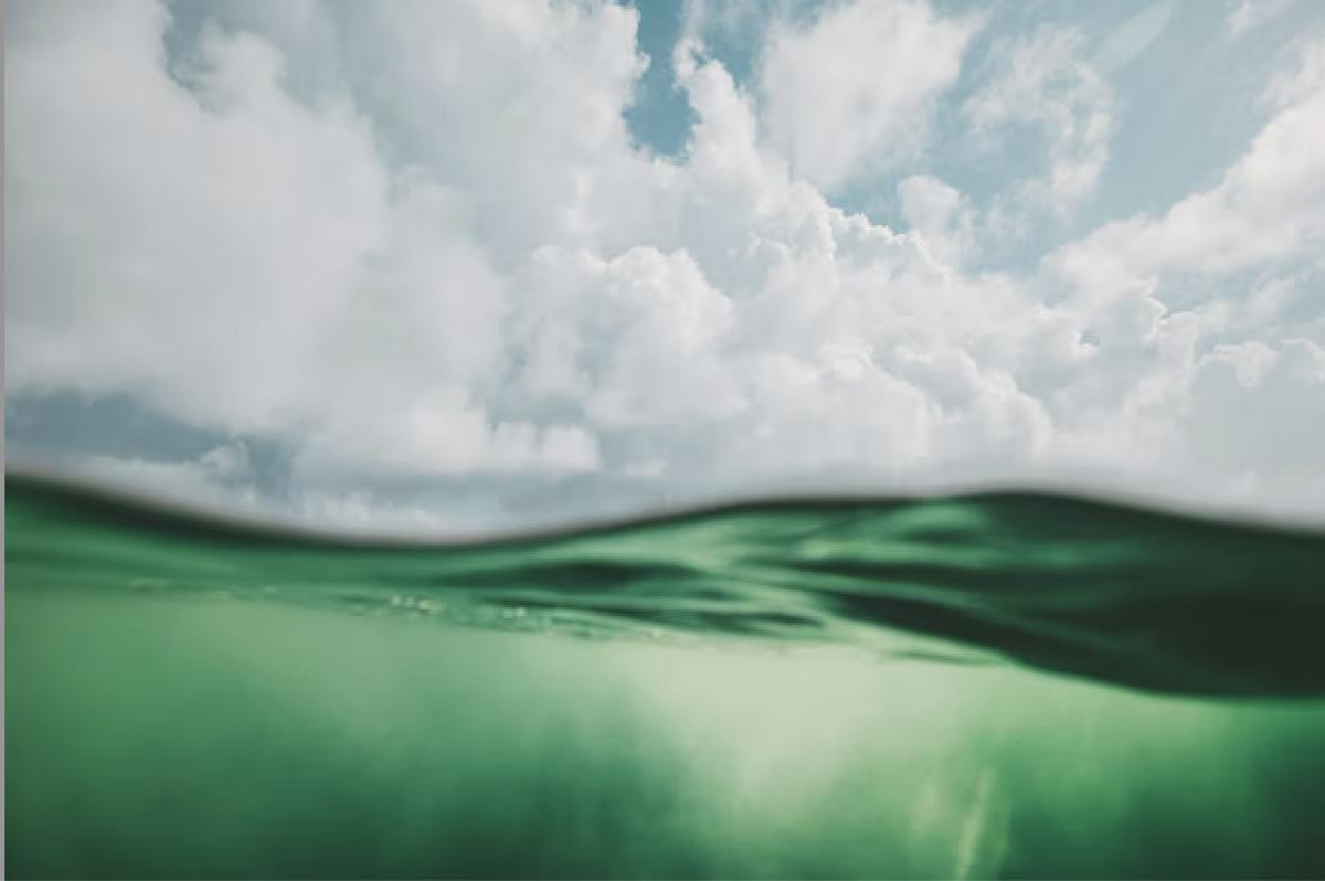 Screenshot 2026-01-22 at 7.57.06 AM.png