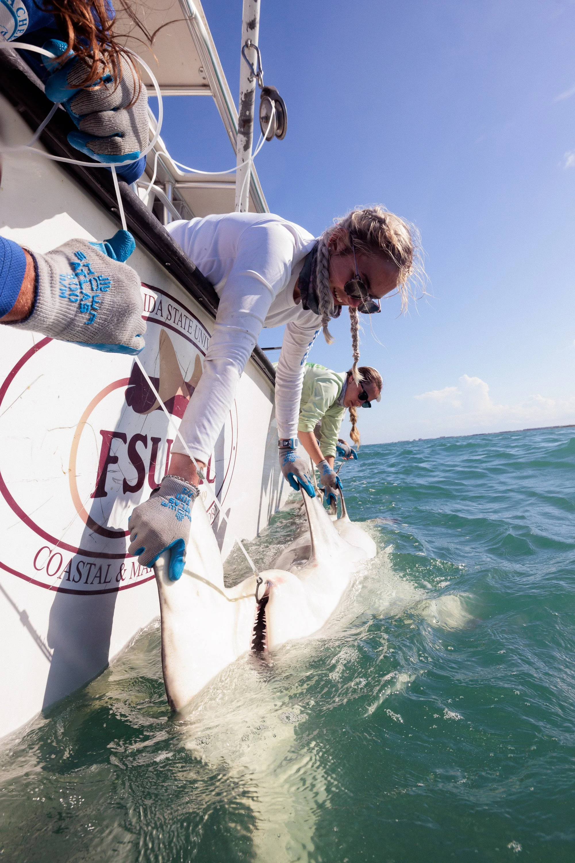 Shark_Research_Day_20917.jpg