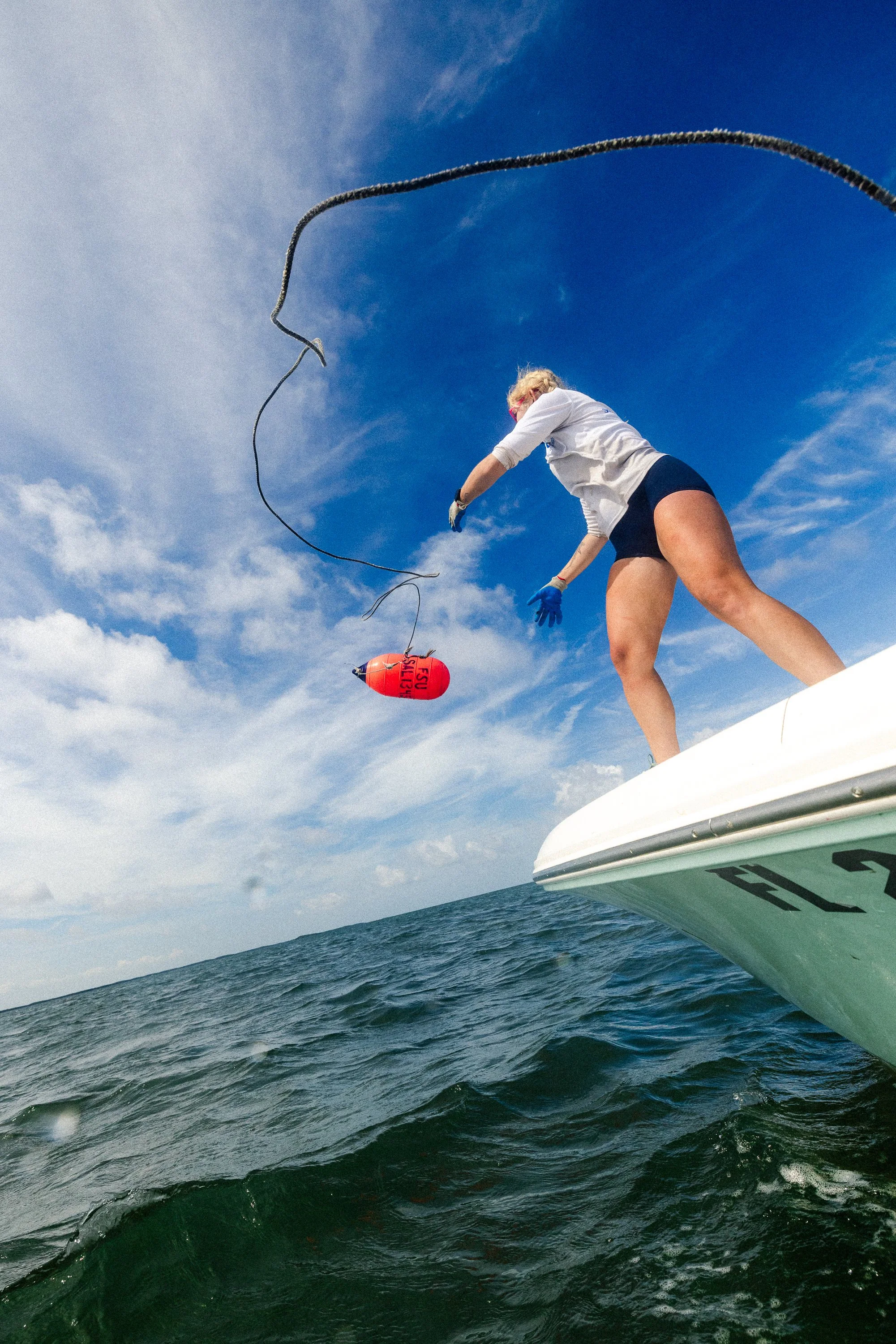 Shark_Research_Trimmed0157.jpg