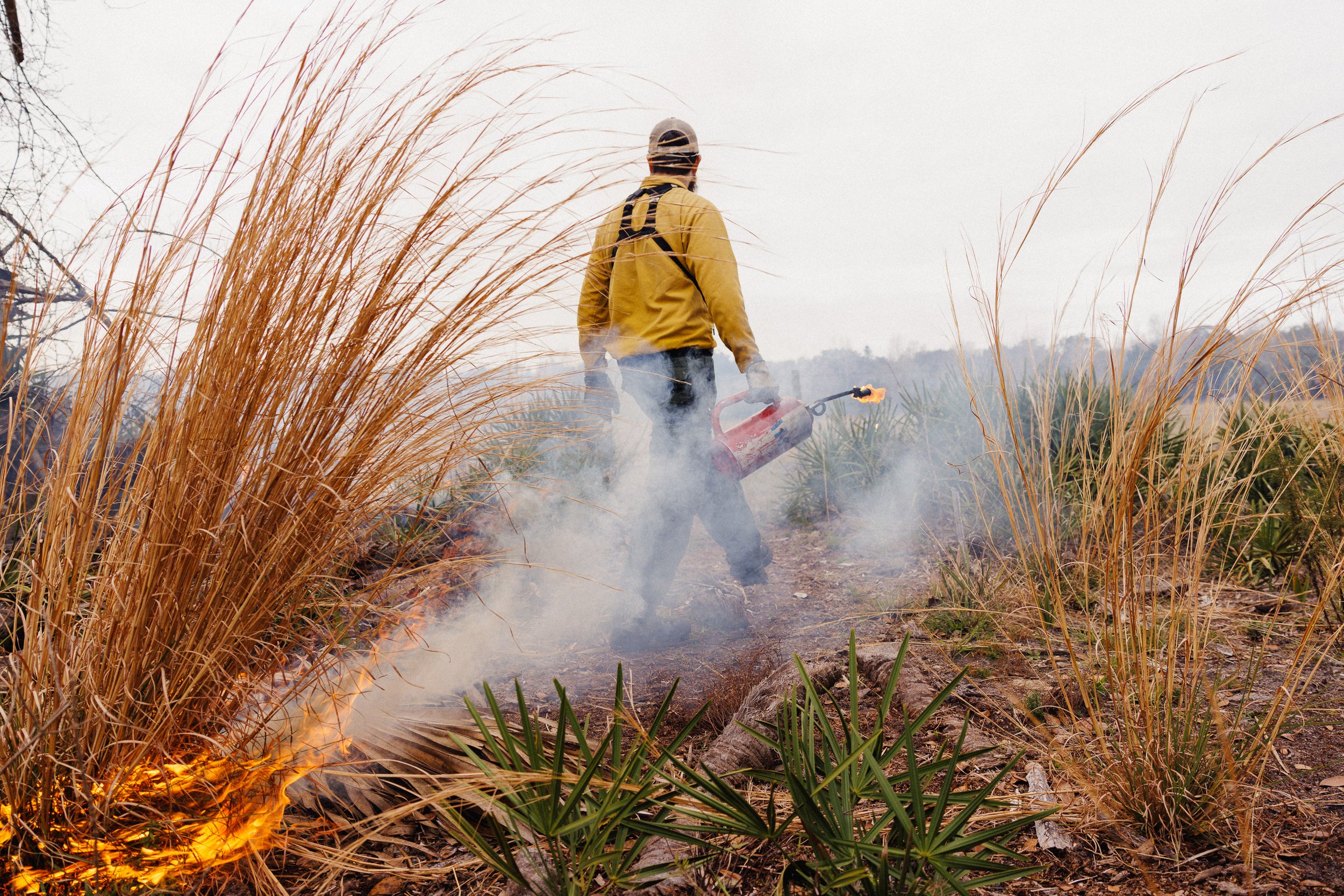 Controlled_Burn0021.jpg