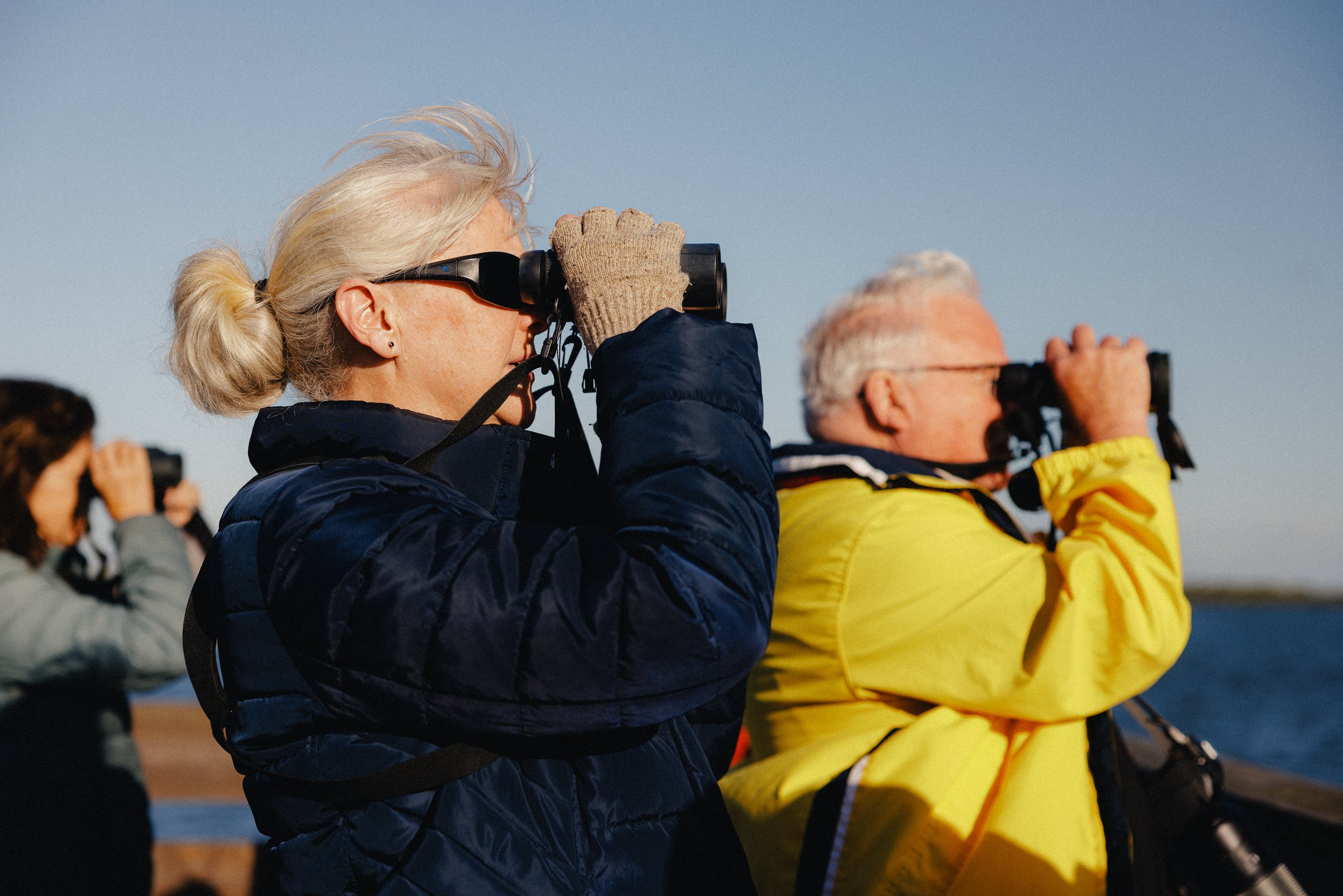 Birders0011.jpg