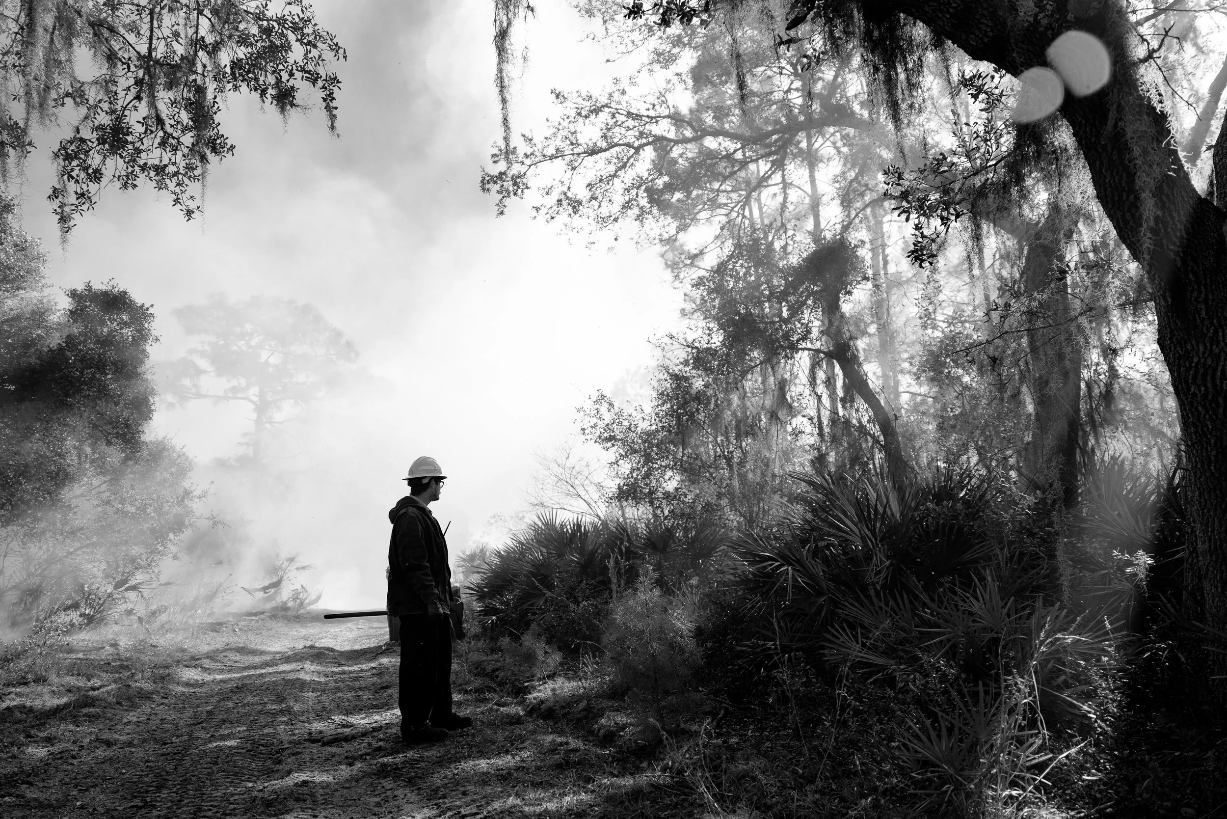 Controlled_Burn0012.jpg