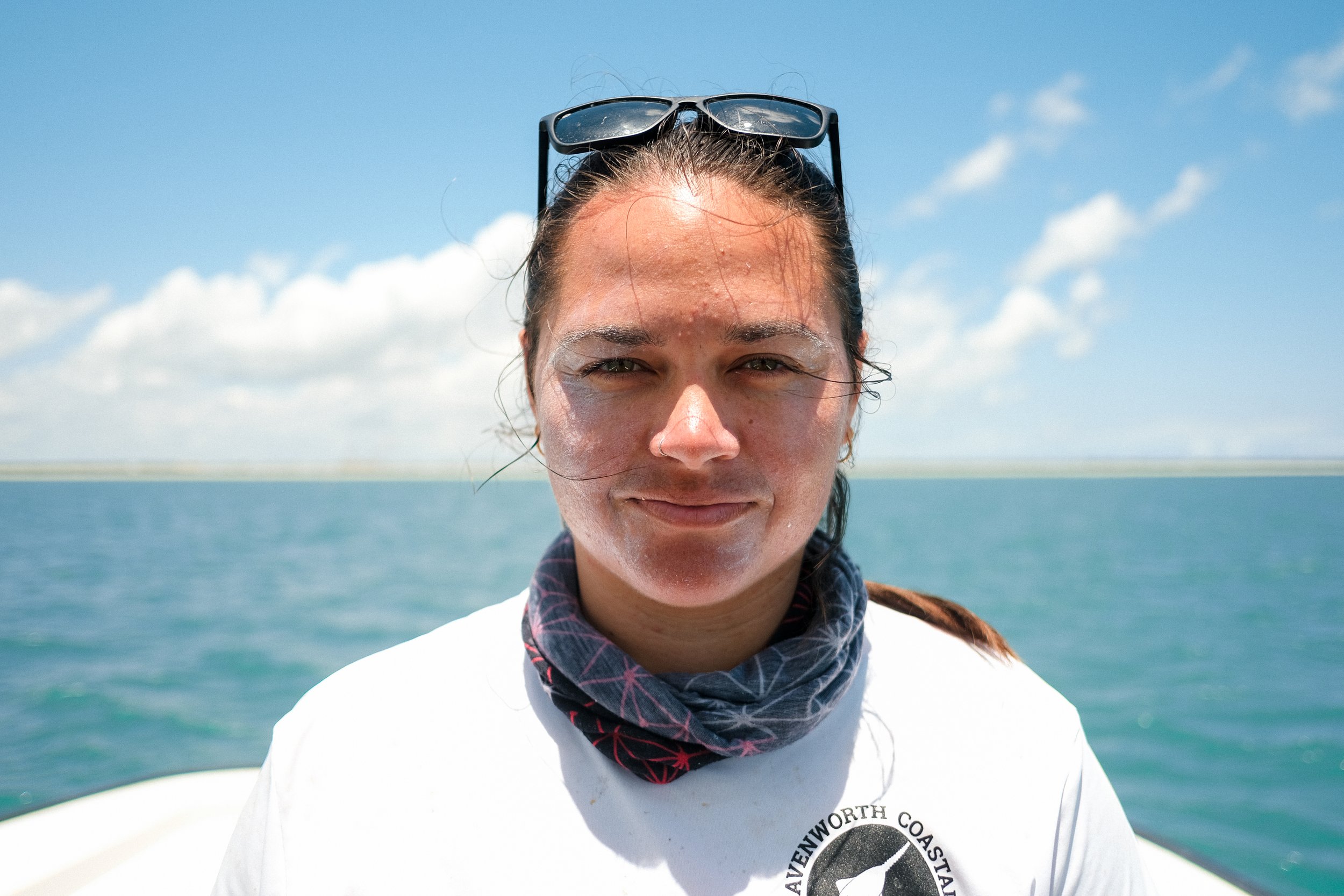 Shark_Research_Day_10550.jpg