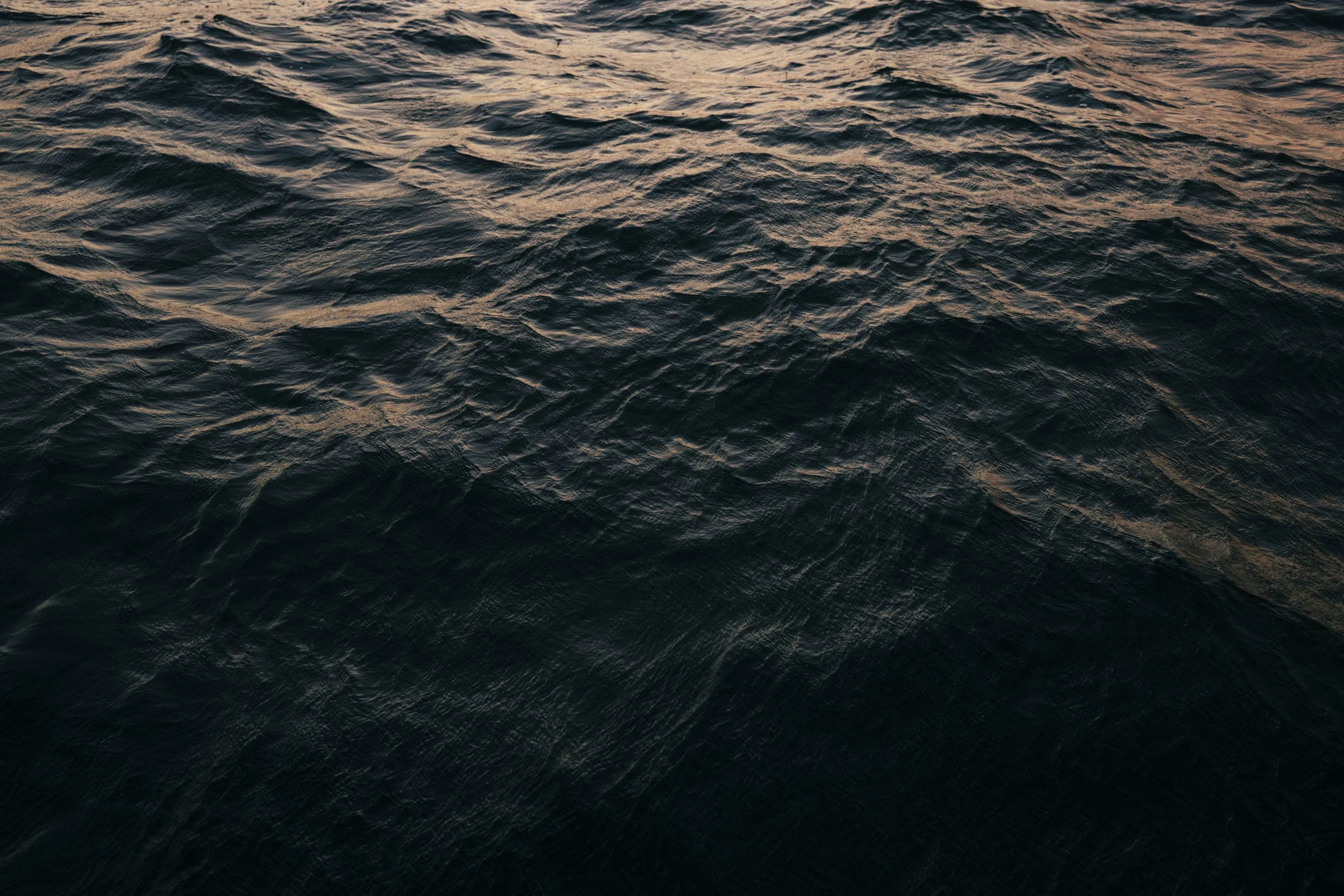 _65A1298.jpg