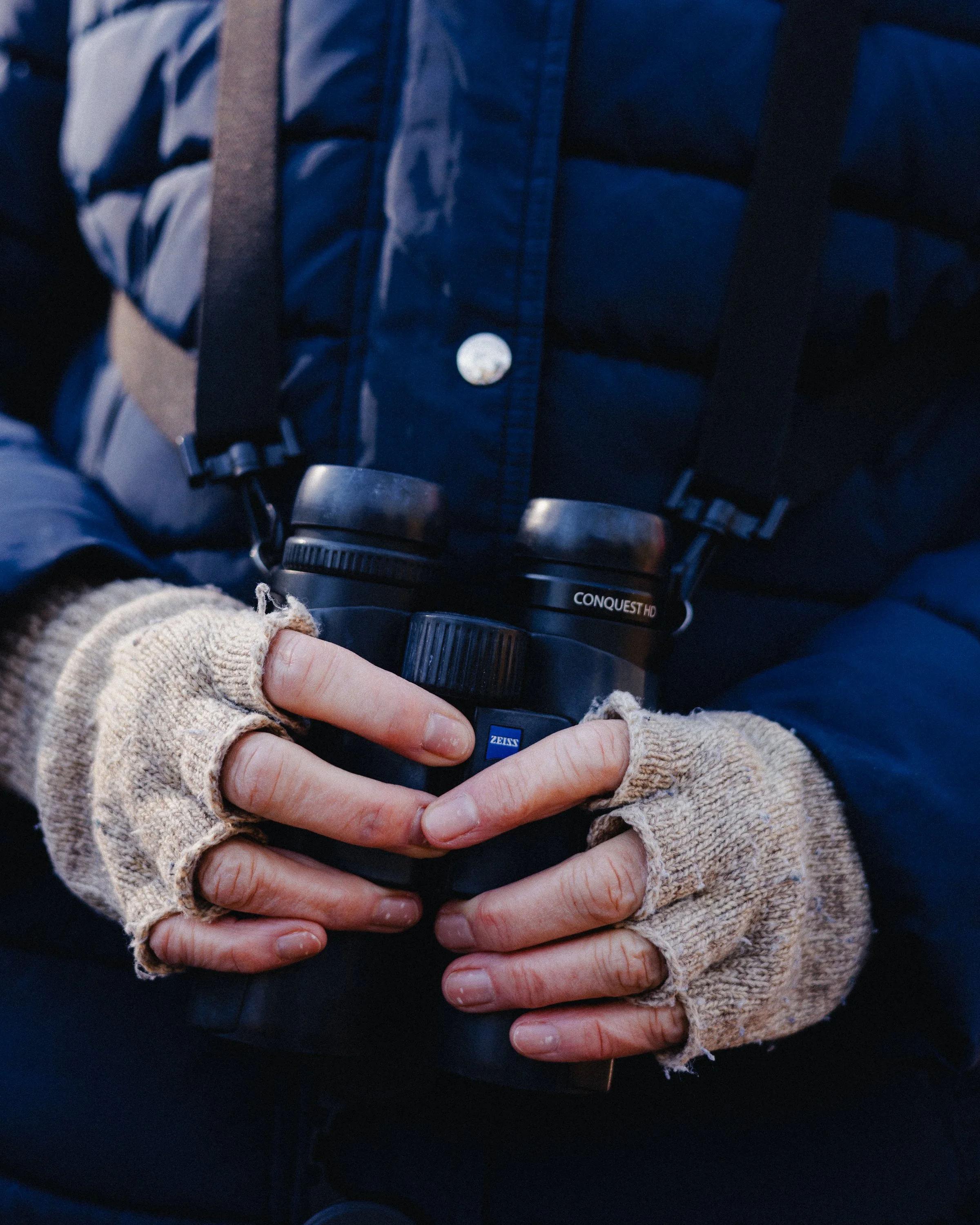 Birders0018.jpg